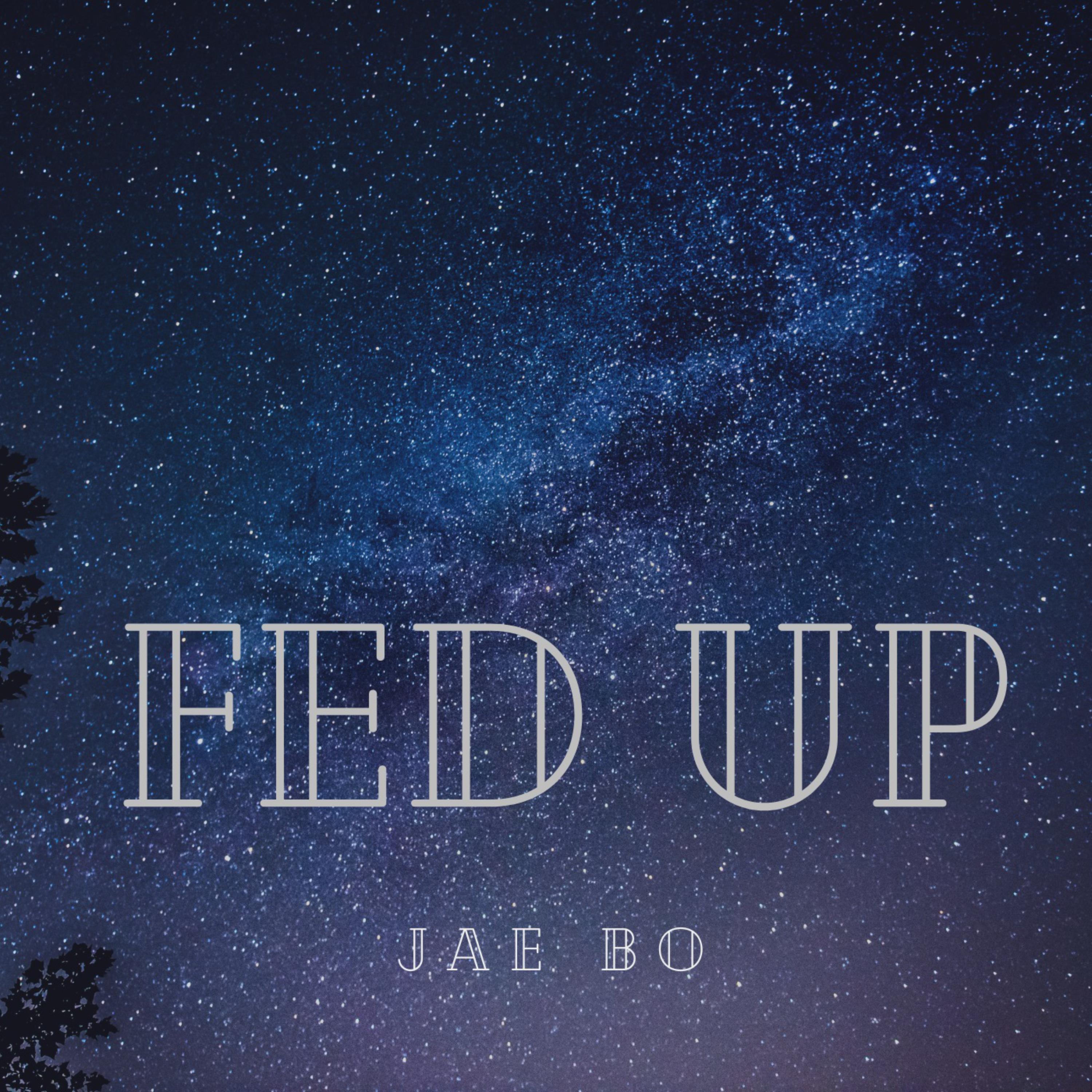Fed Up artwork