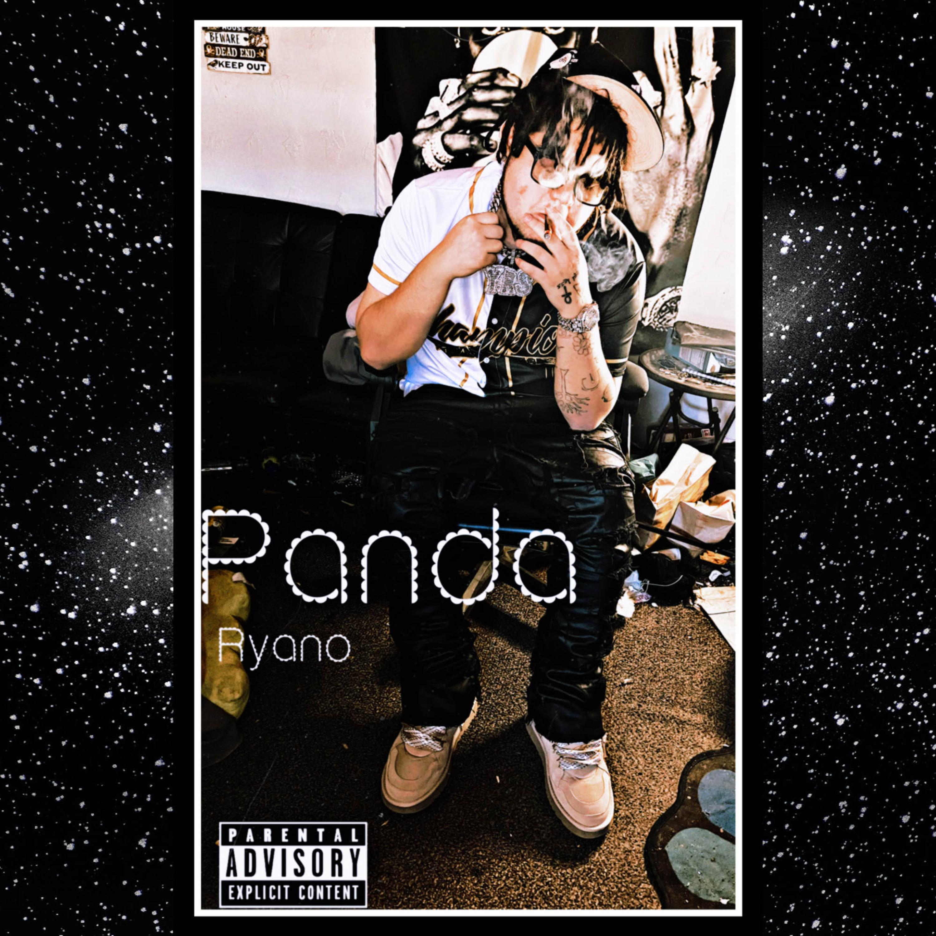 Panda artwork