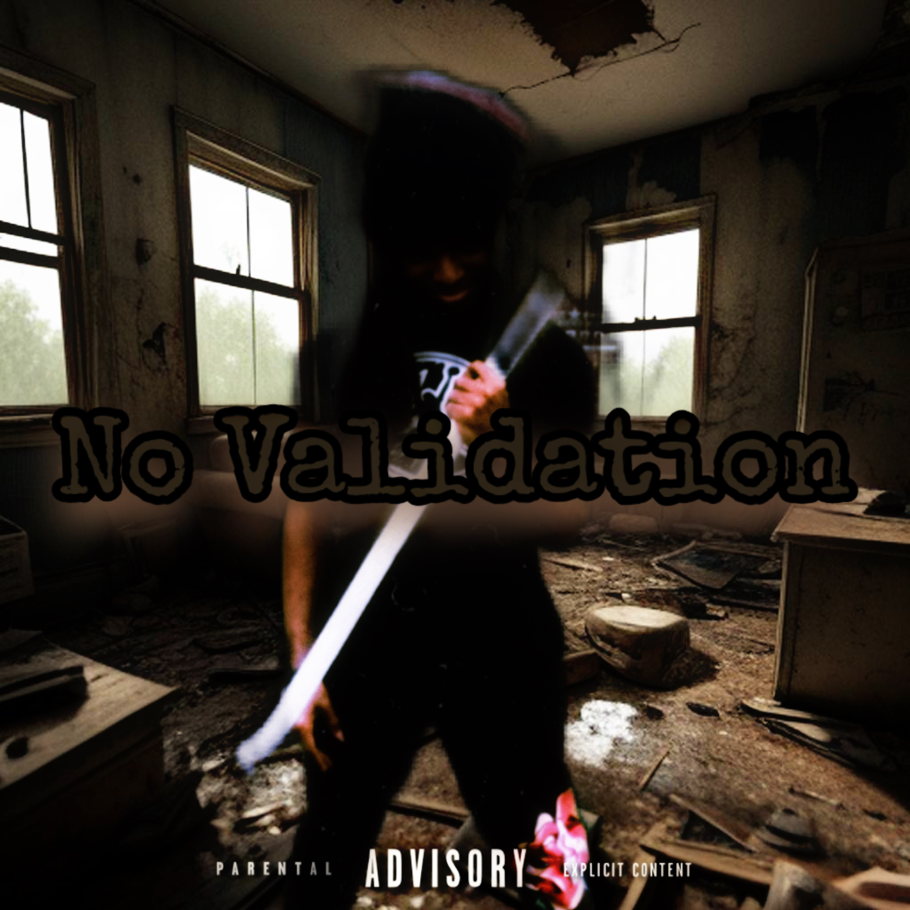 No Validation artwork