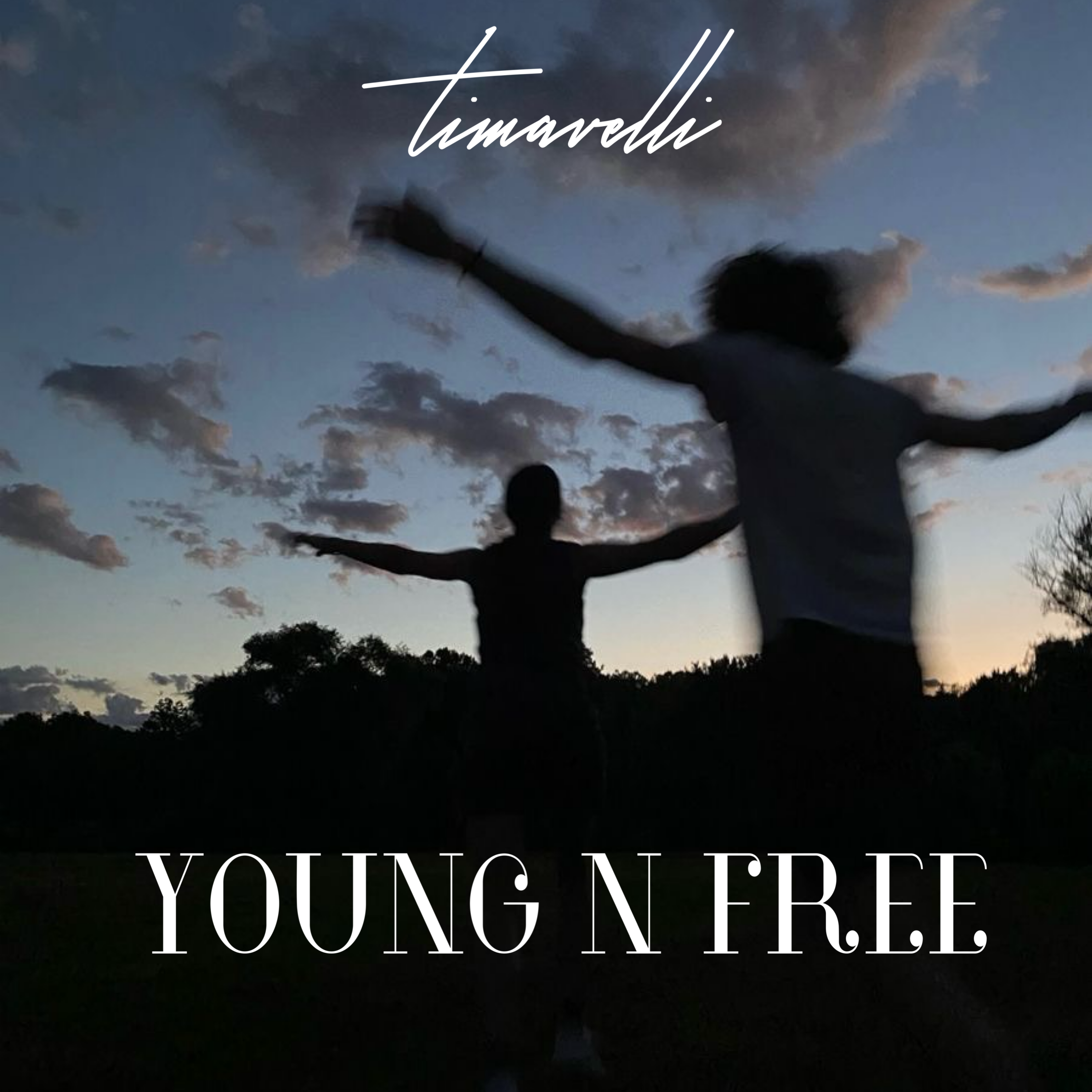 YOUNG N FREE artwork