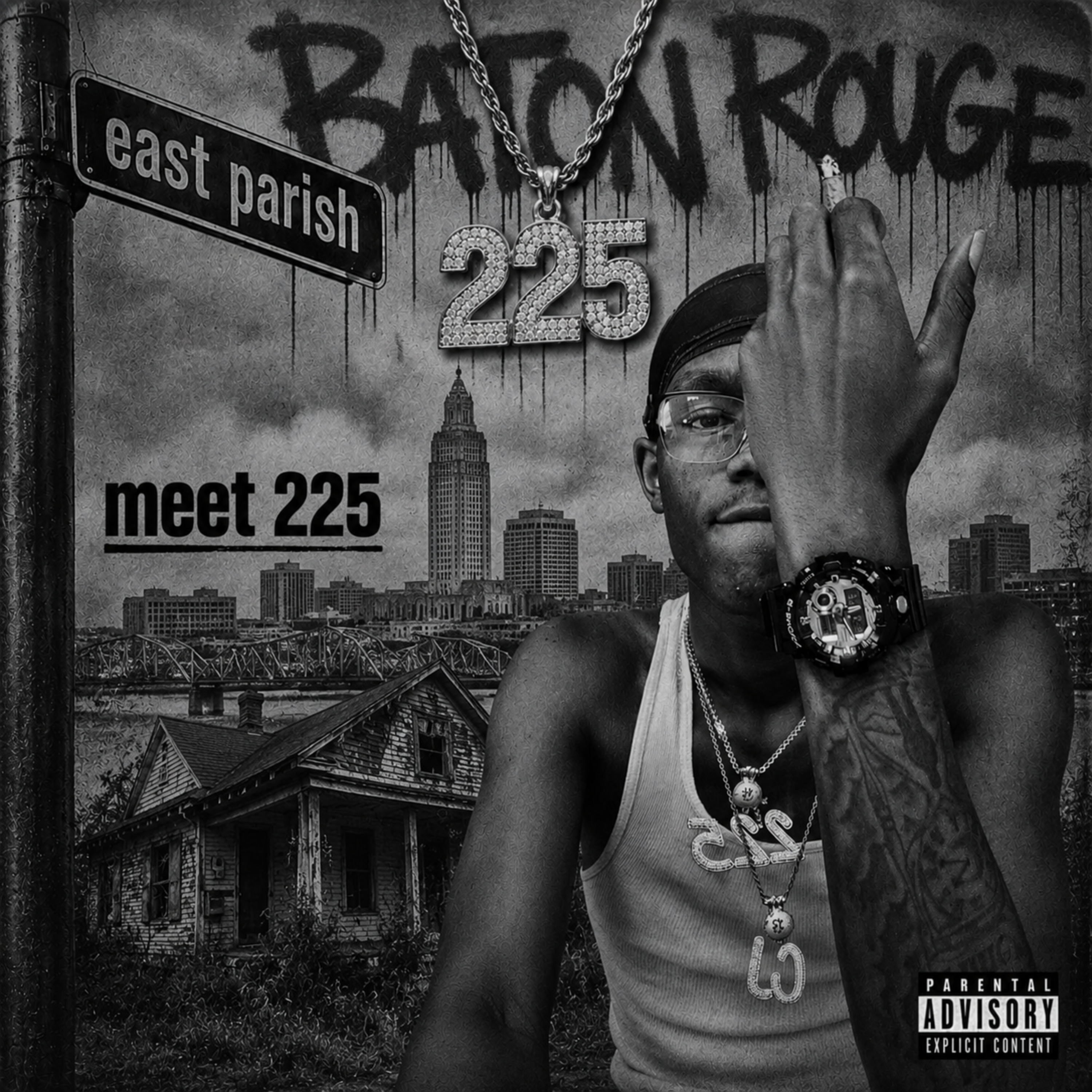 meet 225 by 225cj cover art