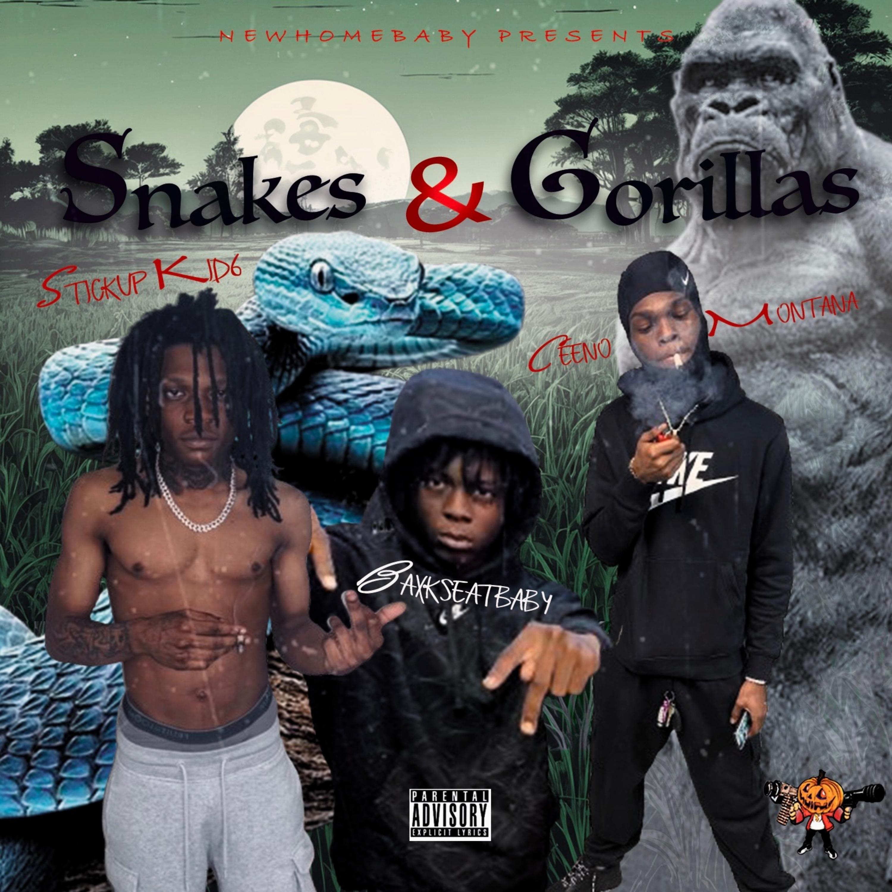 Snakes & Gorillas artwork