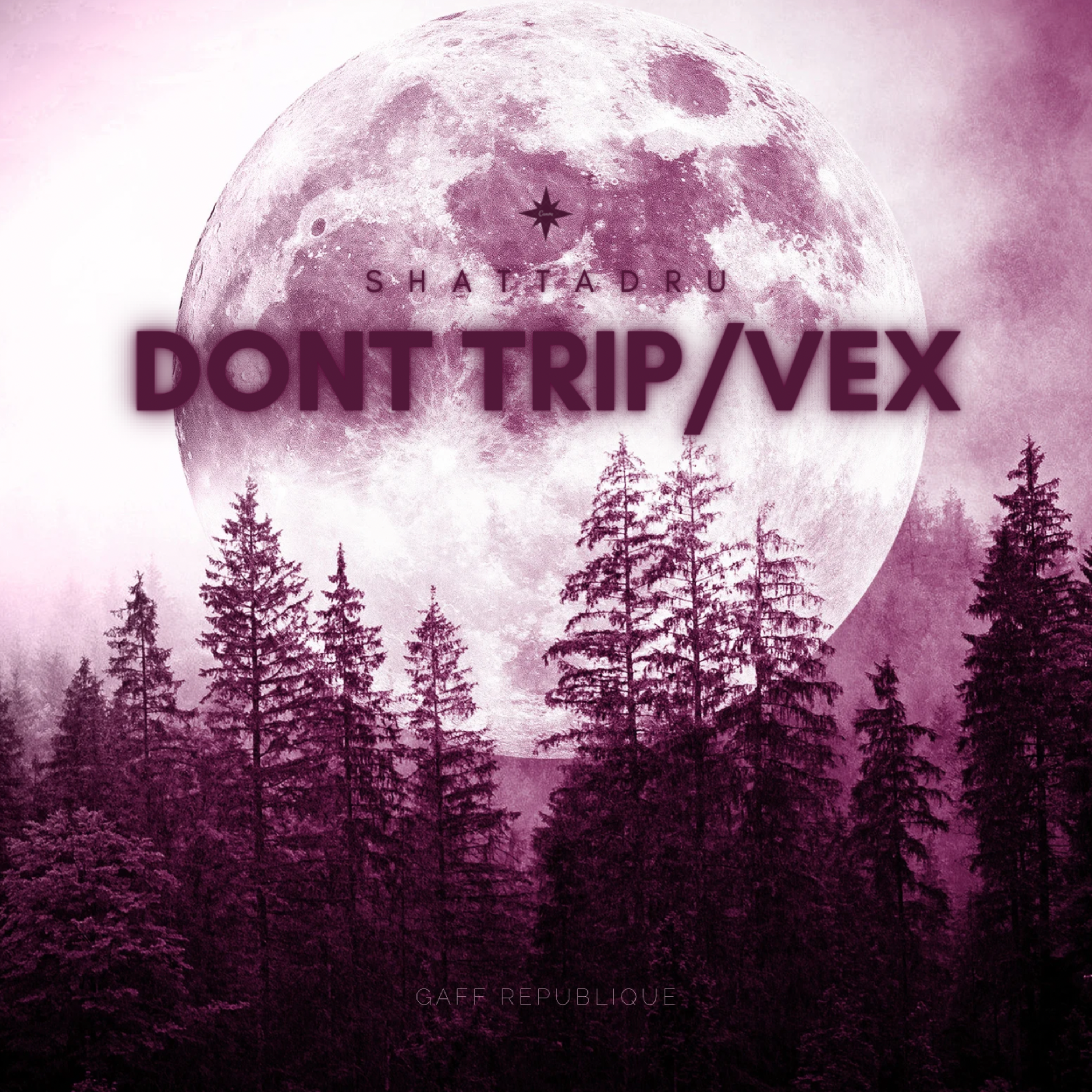 Dont Trip/Vex artwork