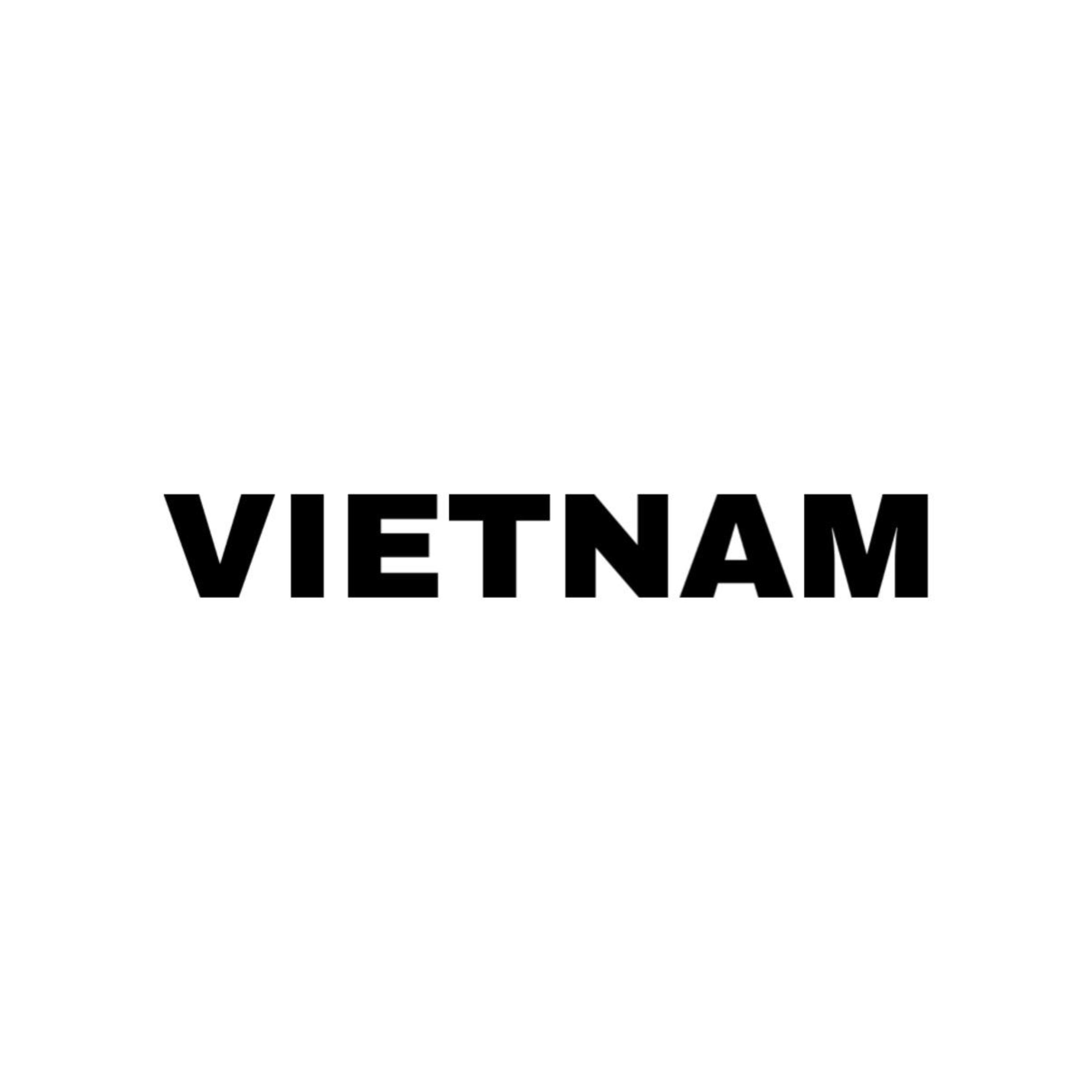 VIETNAM artwork