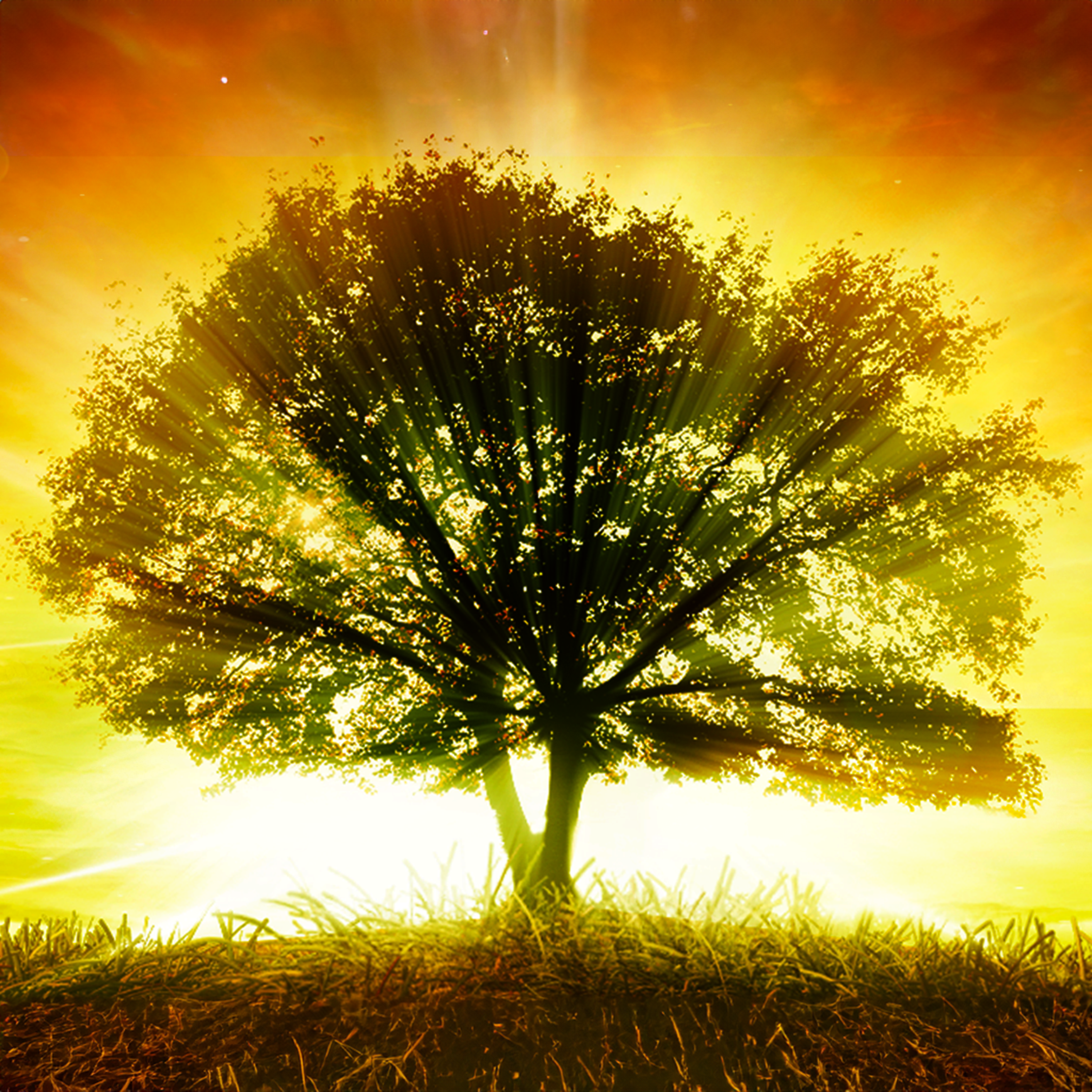 HEAL Guided Sleep Meditation artwork