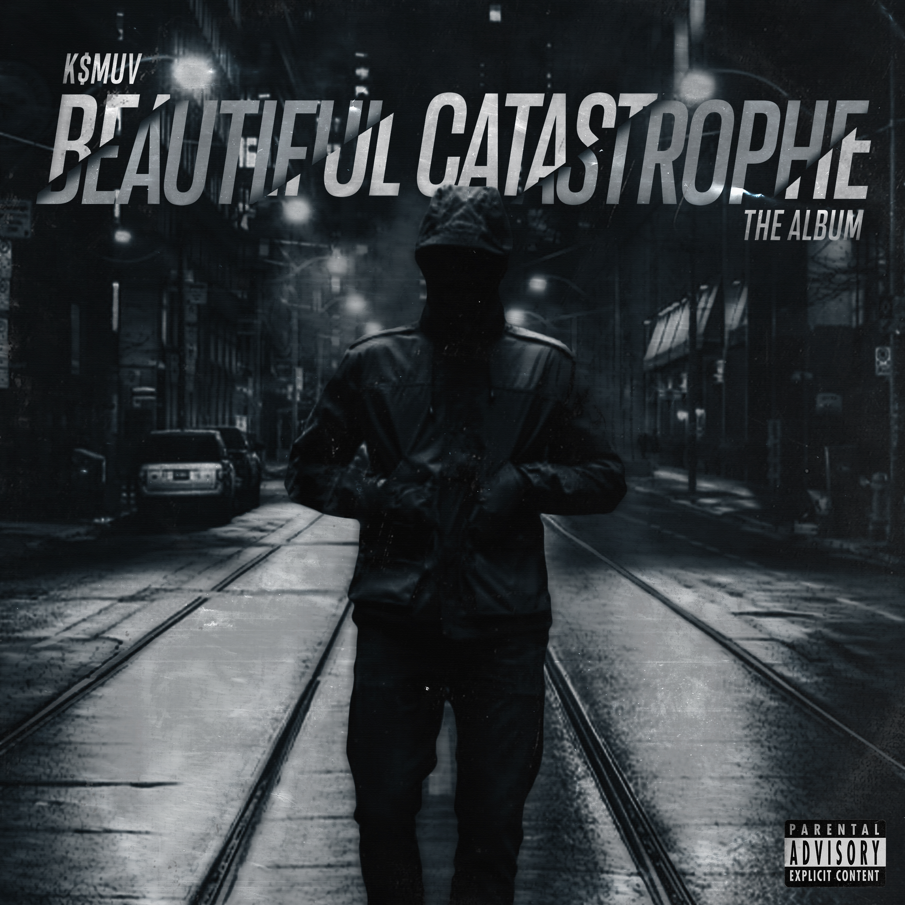 Beautiful Catastrophe artwork