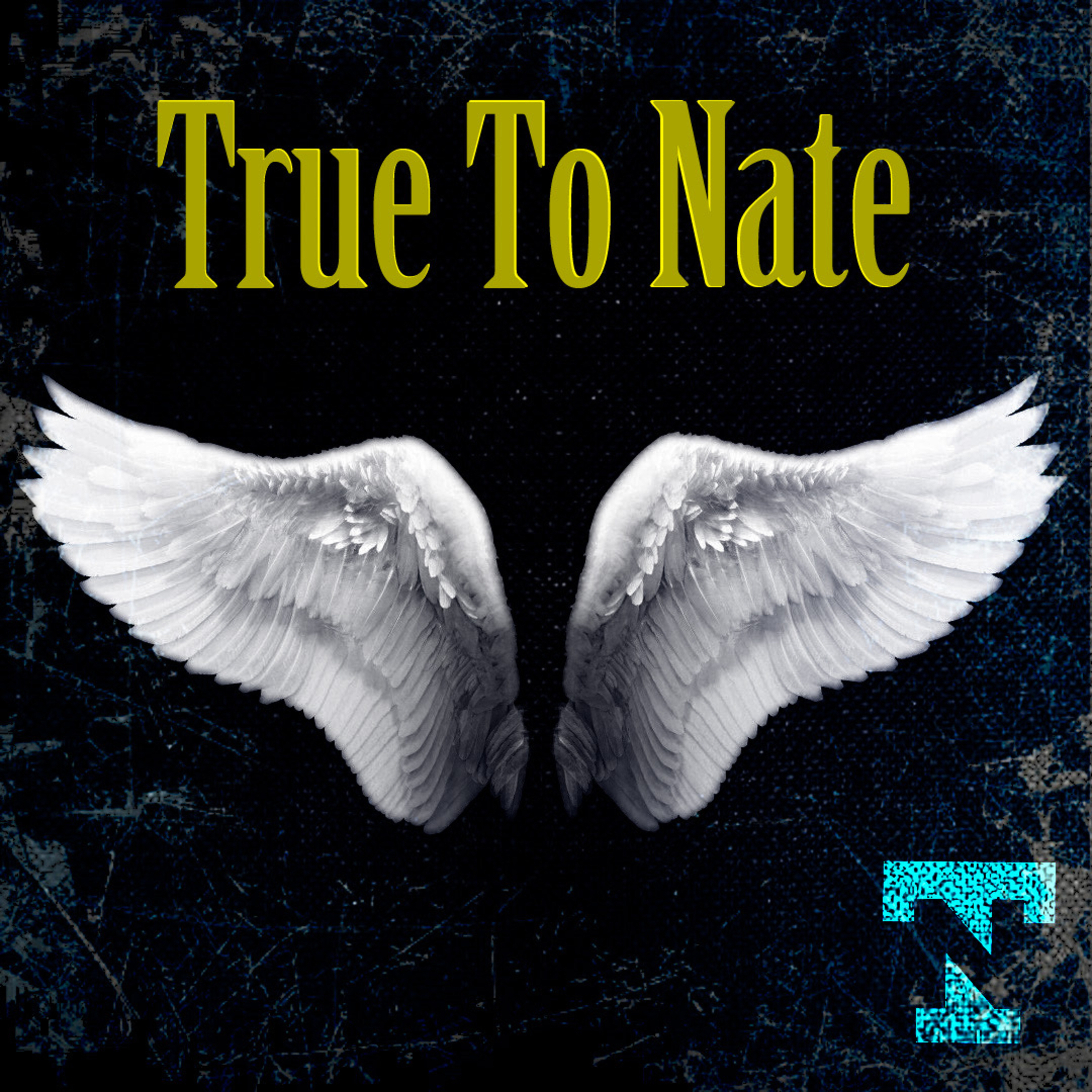 True To Nate artwork