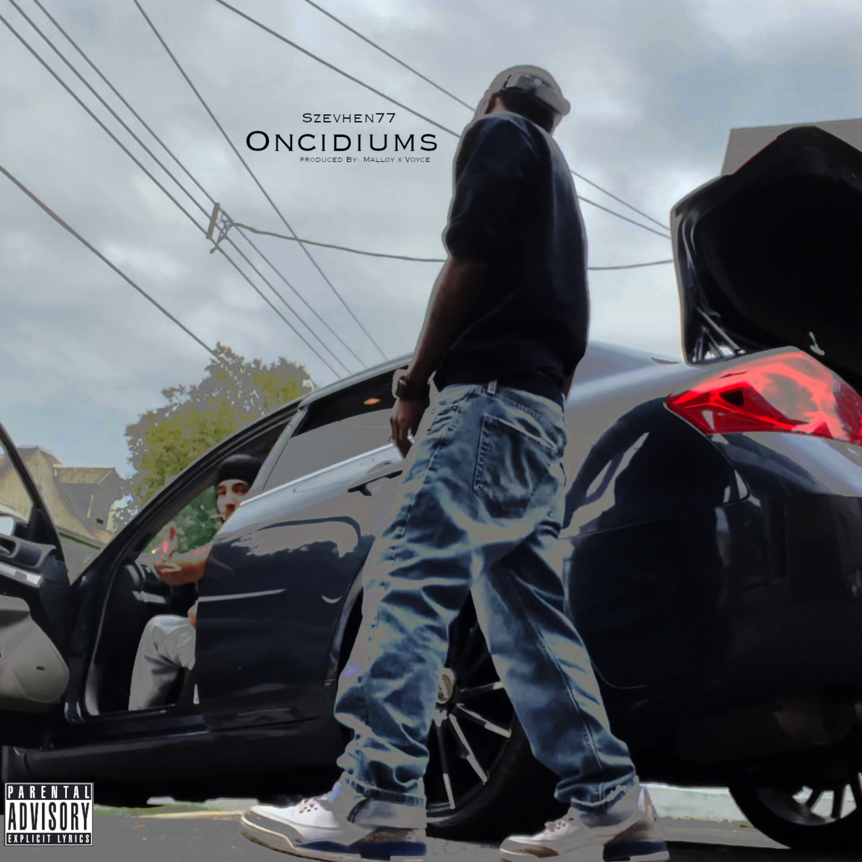Oncidiums artwork