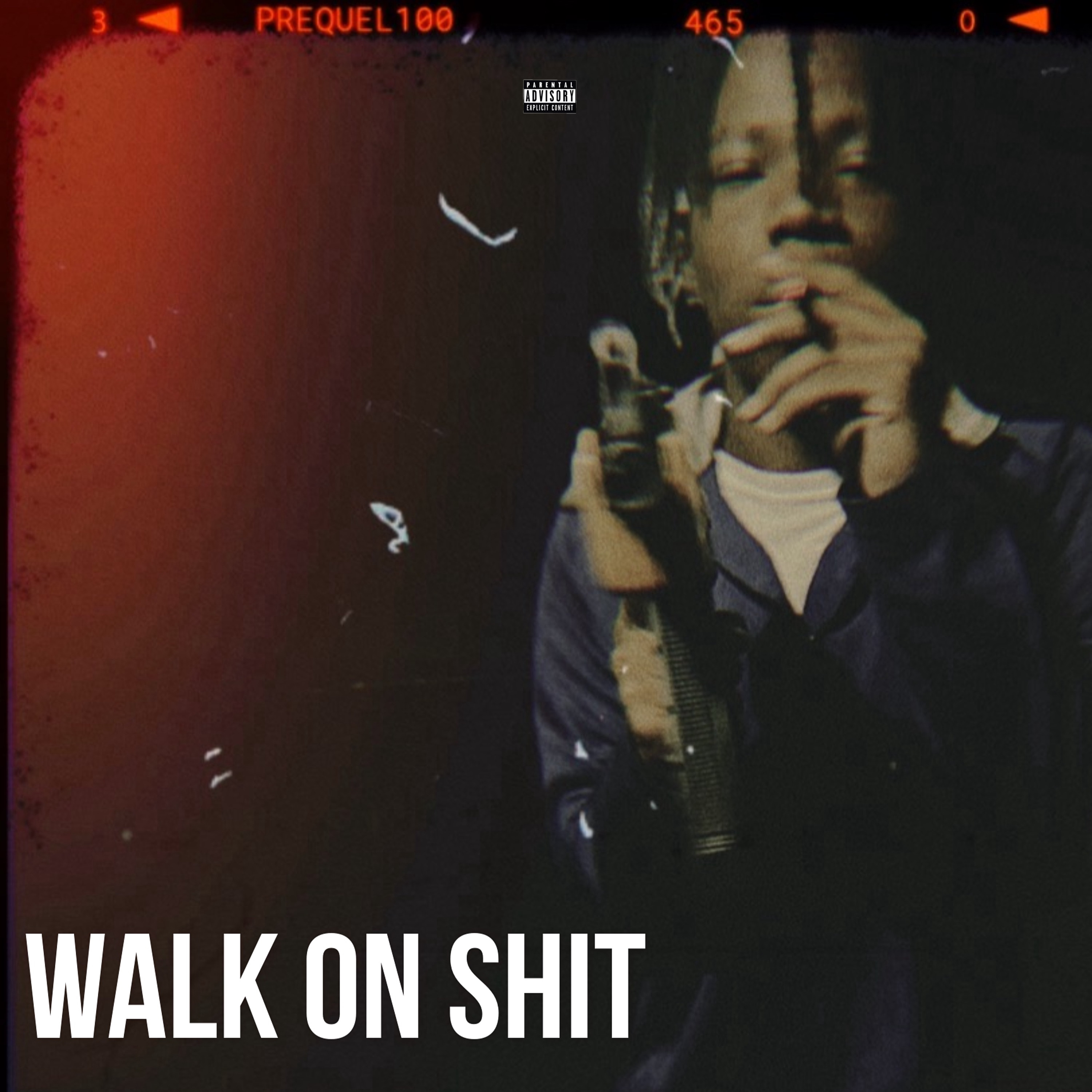 Walk On Shit artwork