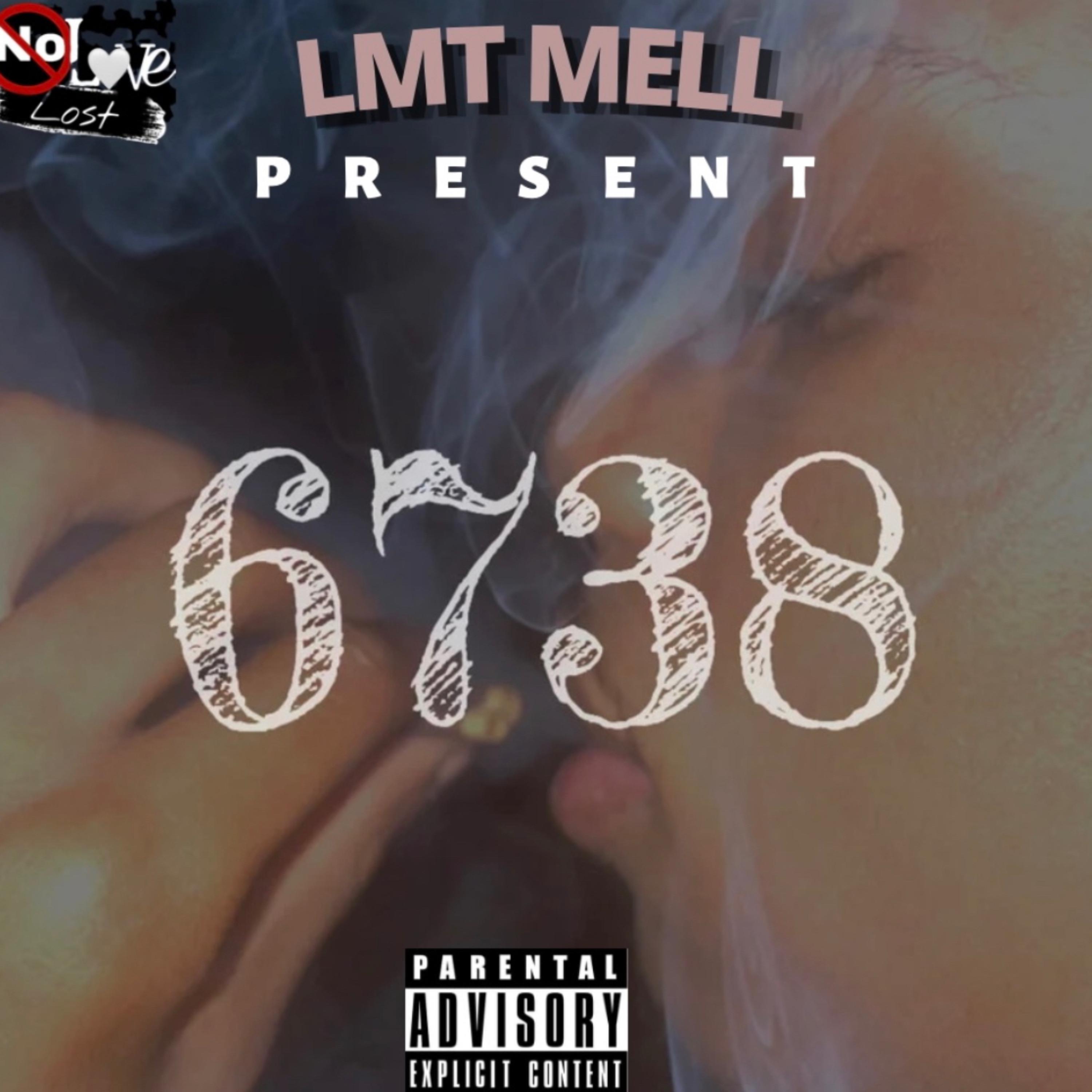 6738 artwork