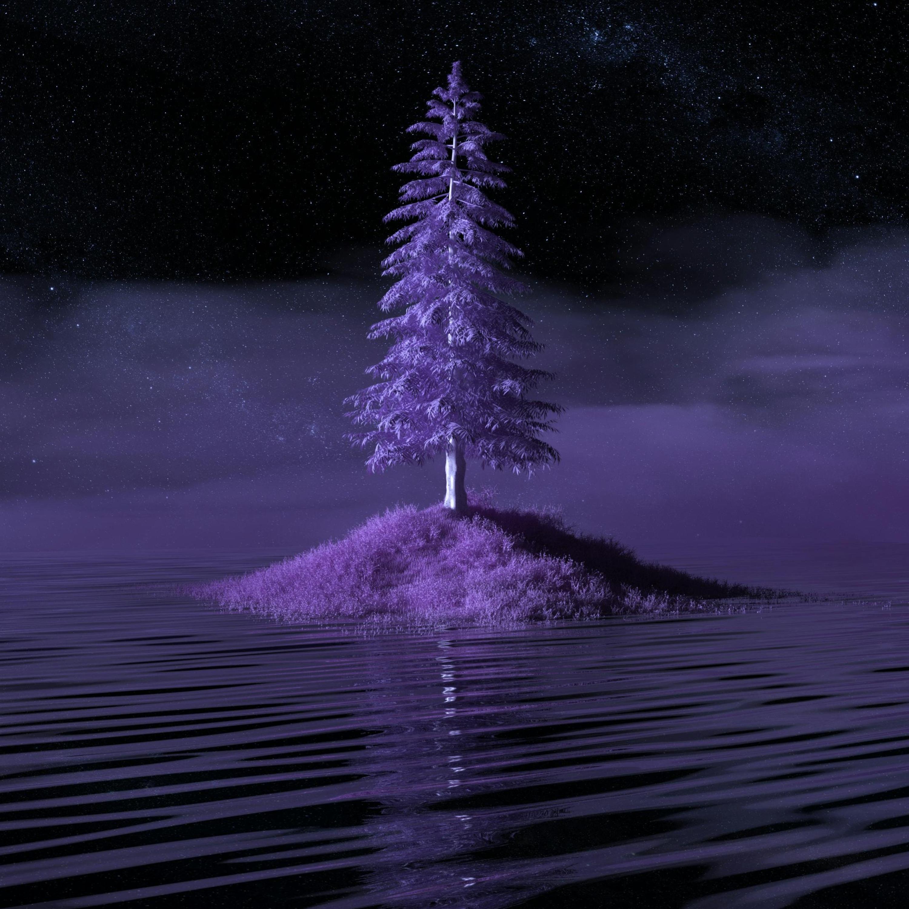 Dolo Shii ( Fast N’ Slowed ) artwork