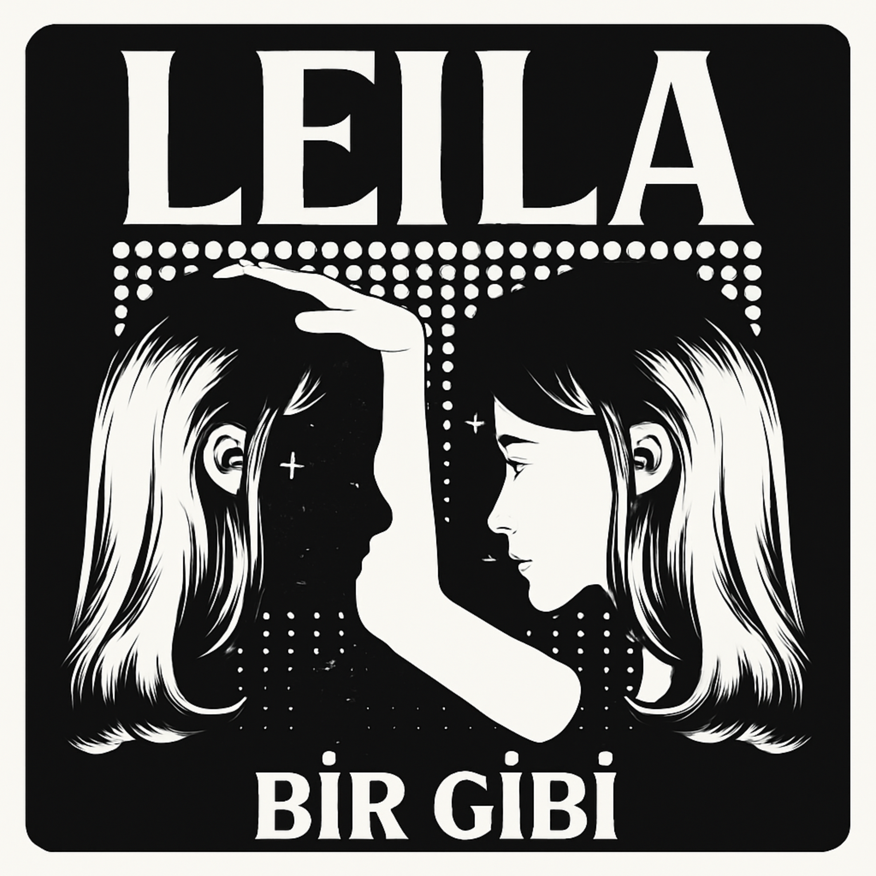 Bir gibi artwork