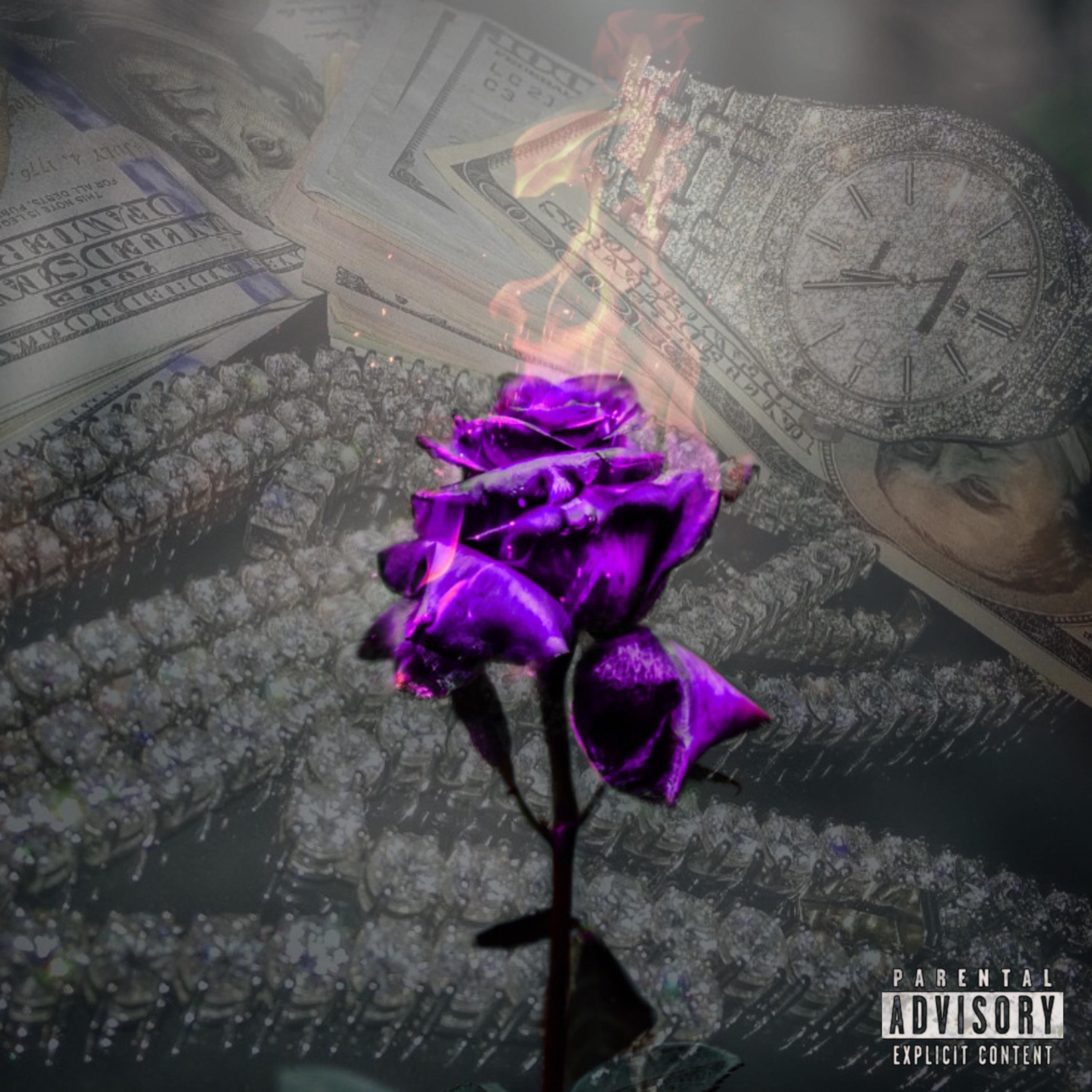 Rose: The Introduction by Codé cover art