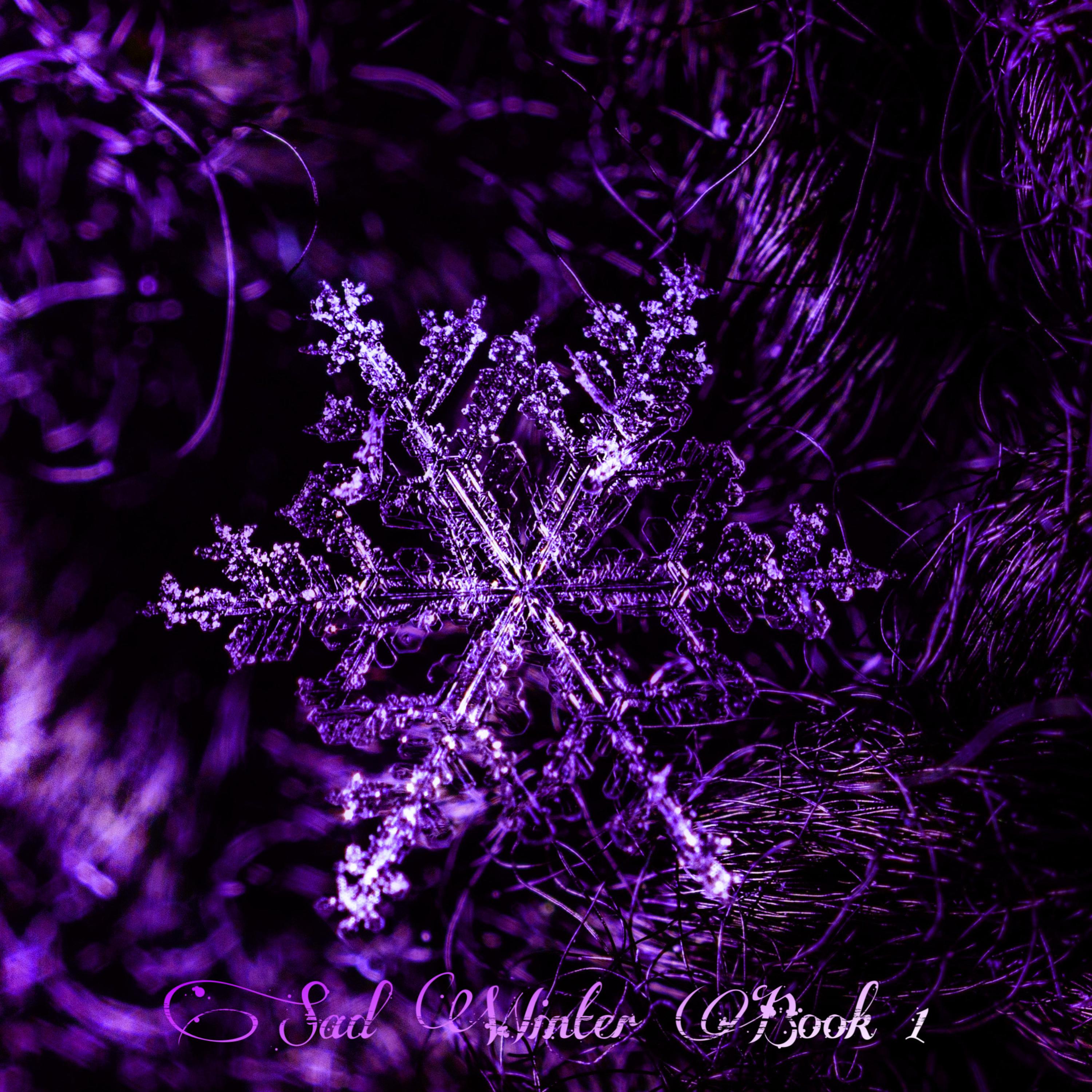 Sad Winter Book 1 artwork