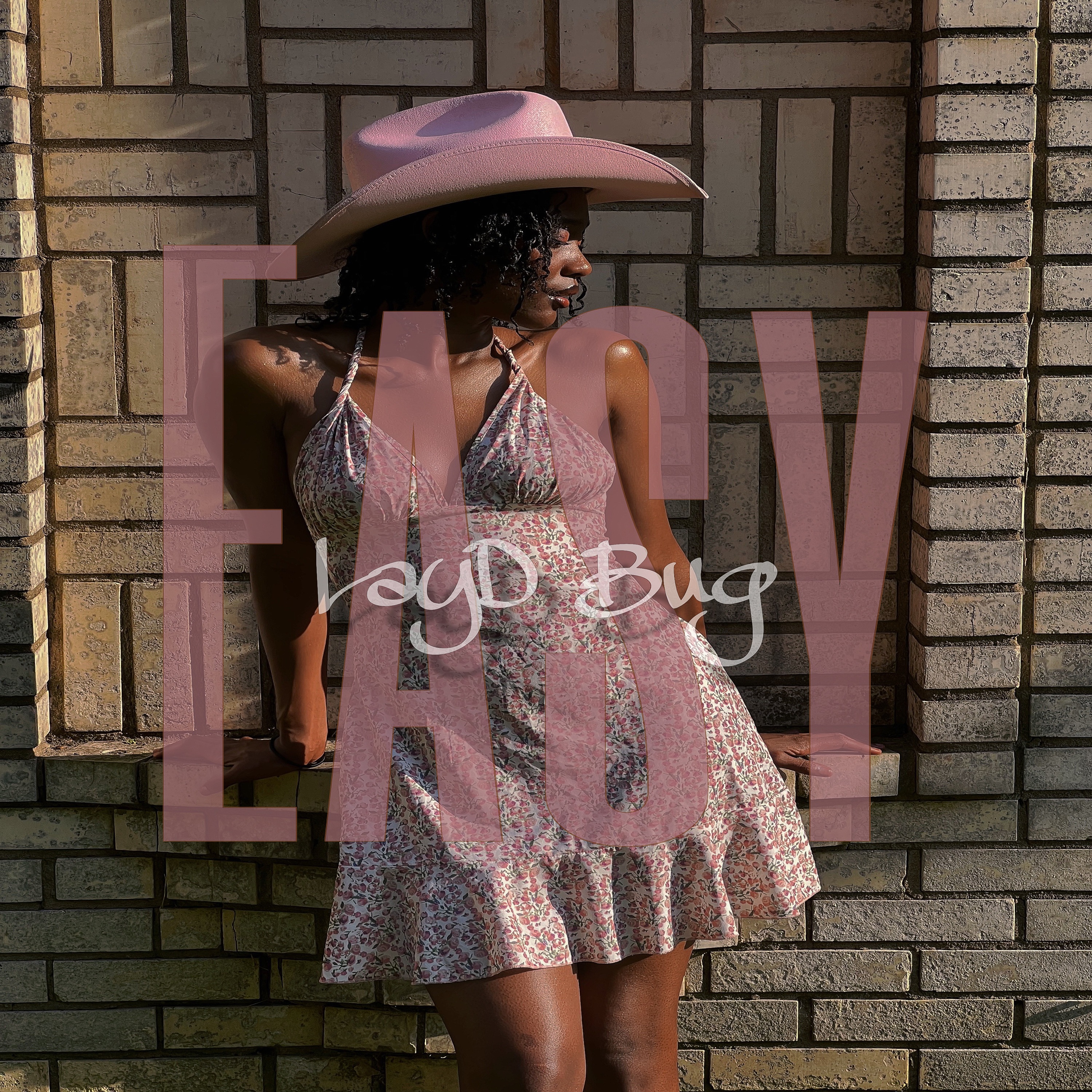 Easy by Lay D Bug cover art