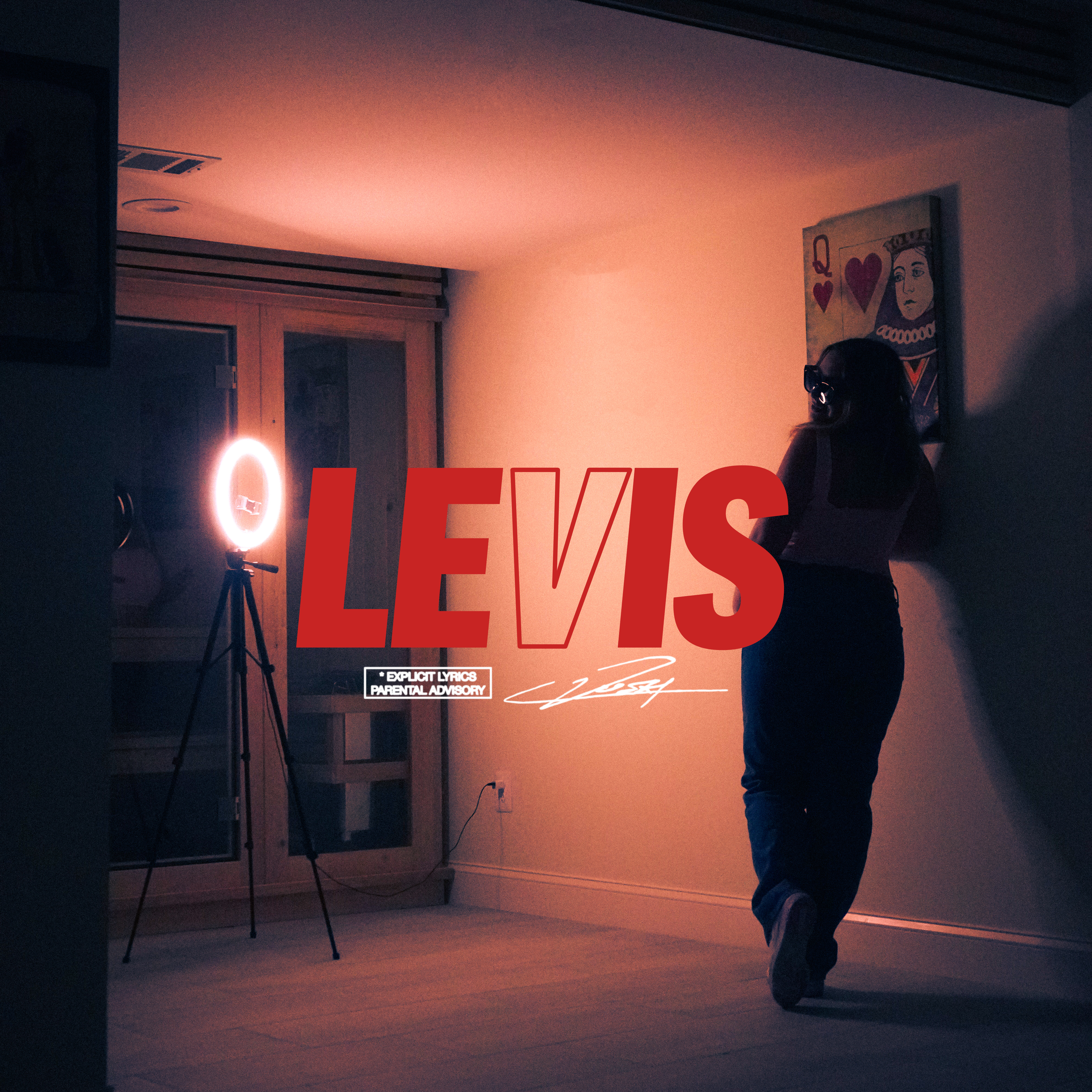 LEVIS artwork