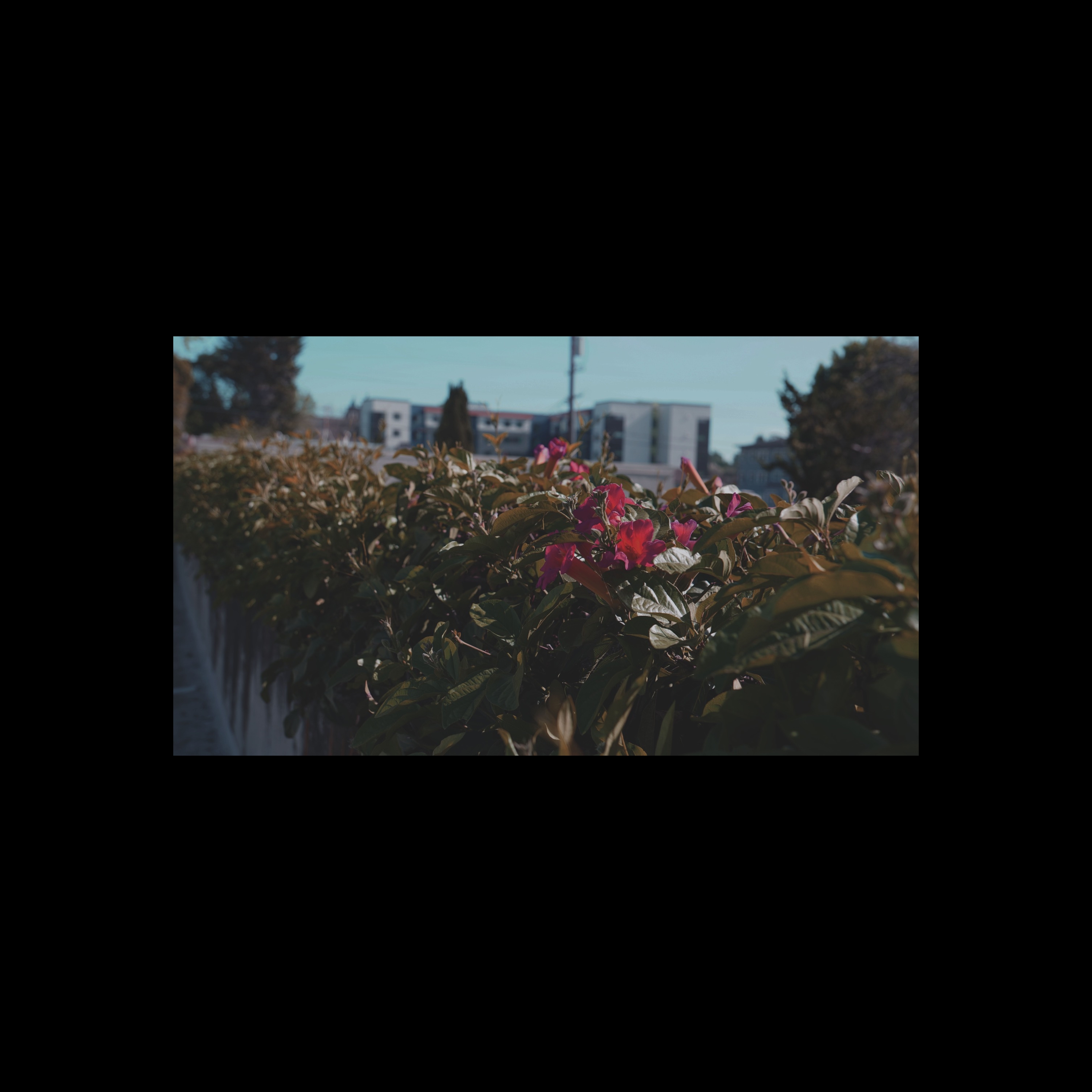 Up n' Leaf by K9$EY cover art