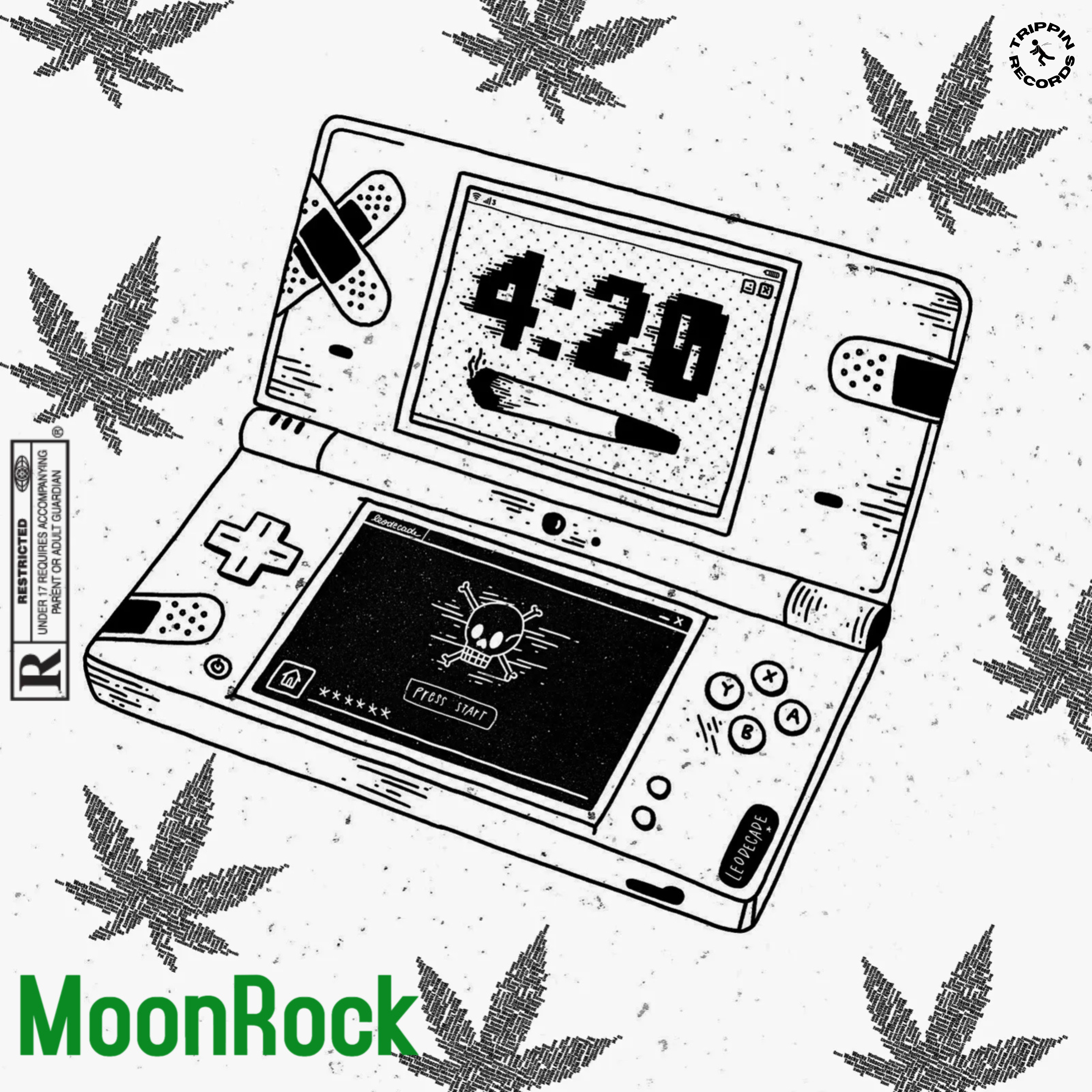 MoonRock artwork