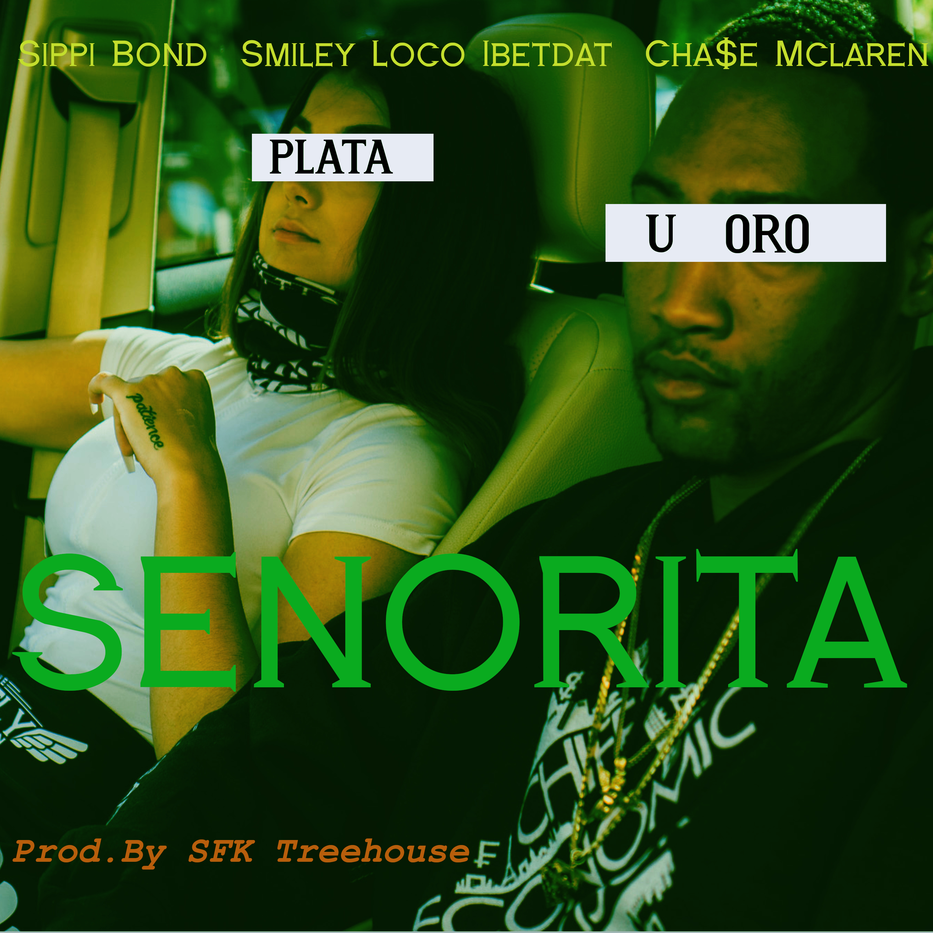Senorita by Cha$e Mclaren cover art