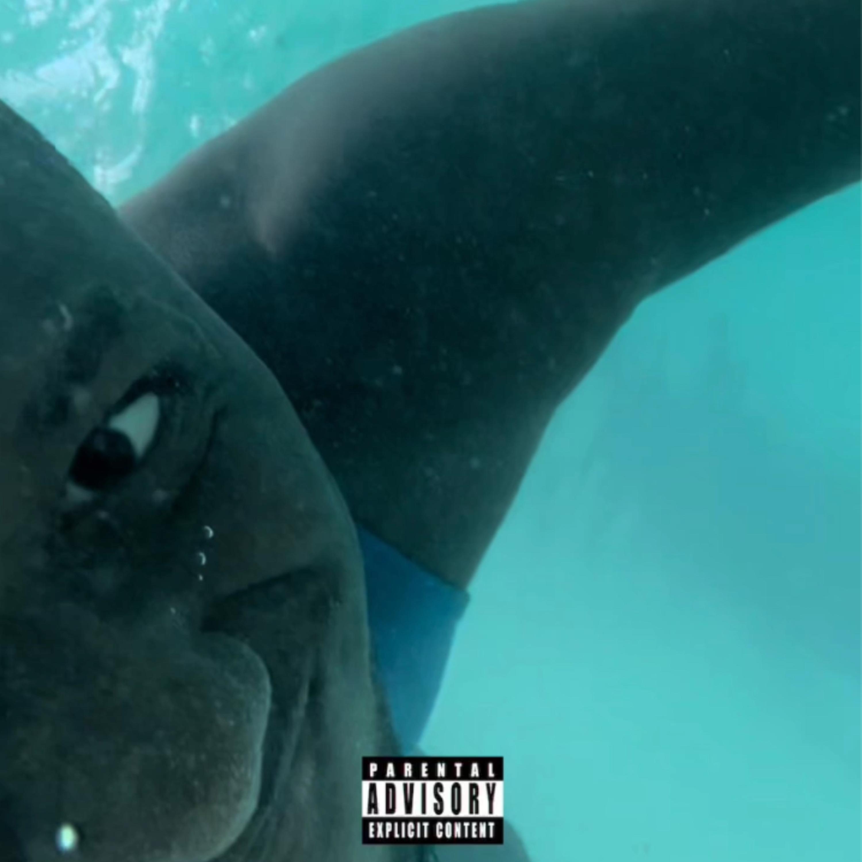 H20 artwork