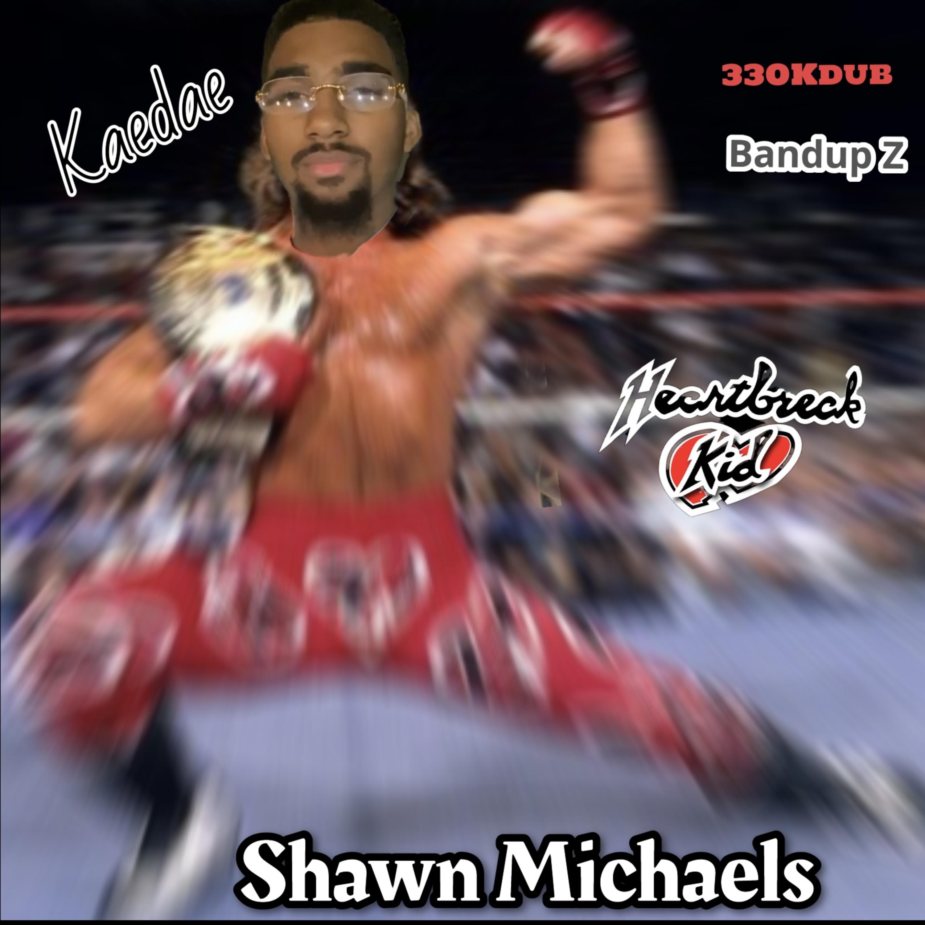 Shawn Michaels artwork