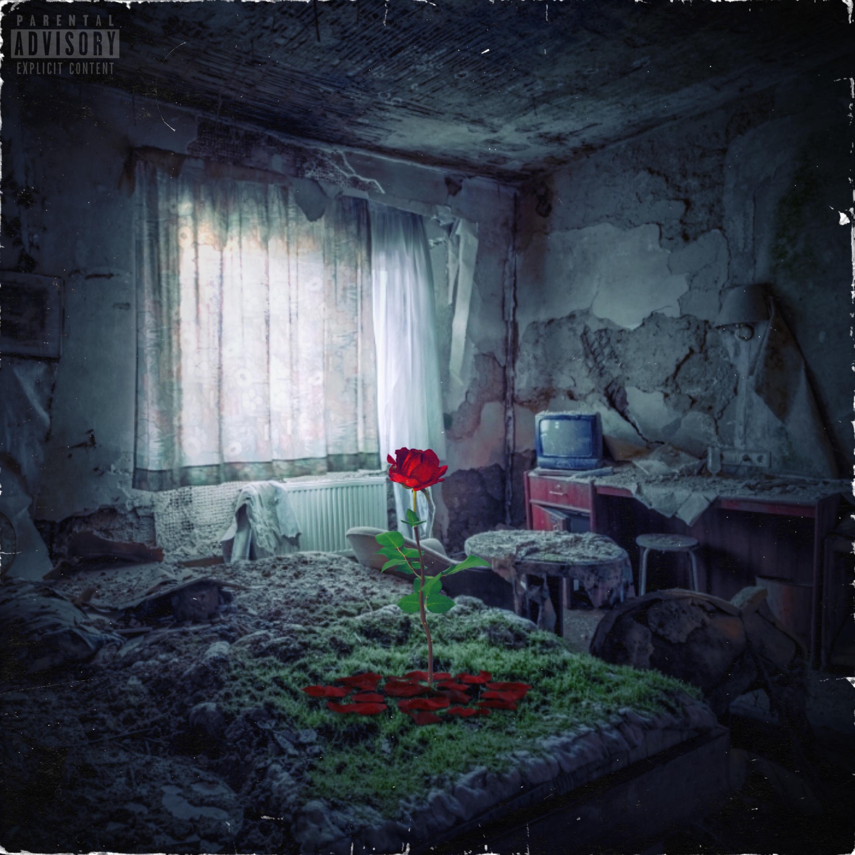 Dont Be Afraid To Bloom In The Dark artwork
