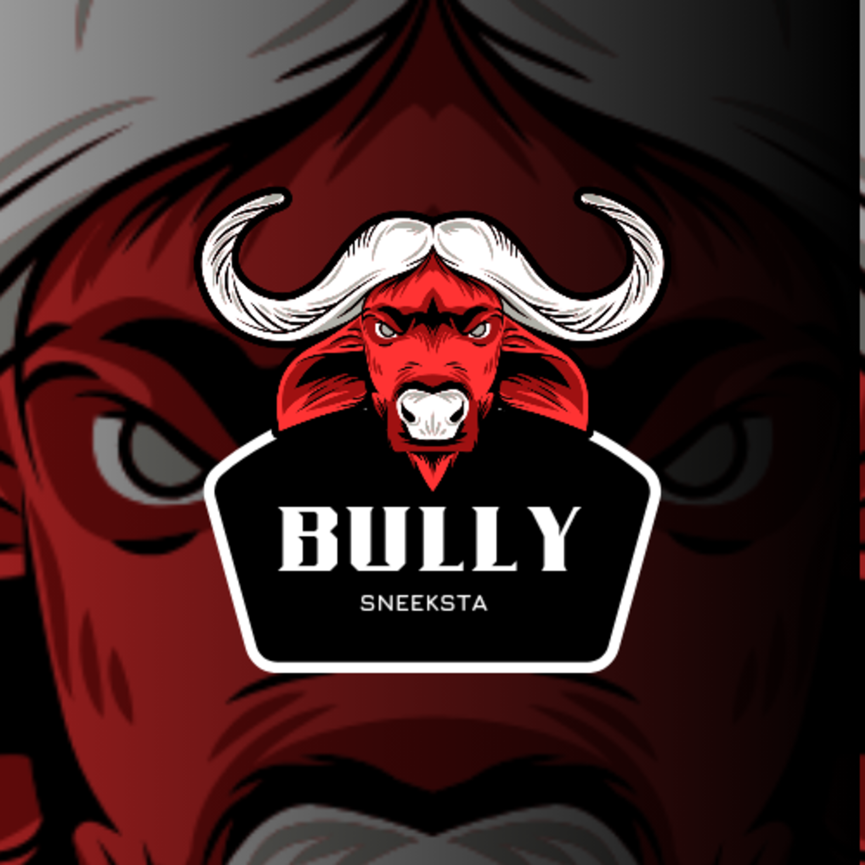 Bully artwork