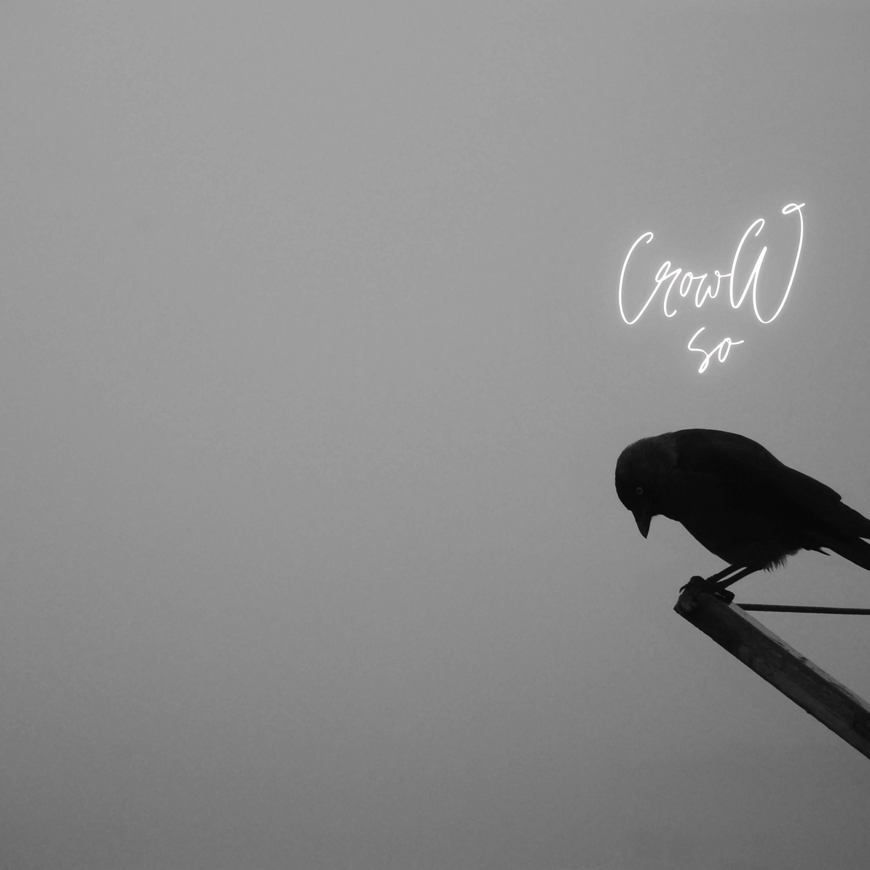 As Hard as this is by CrowWsoFly cover art