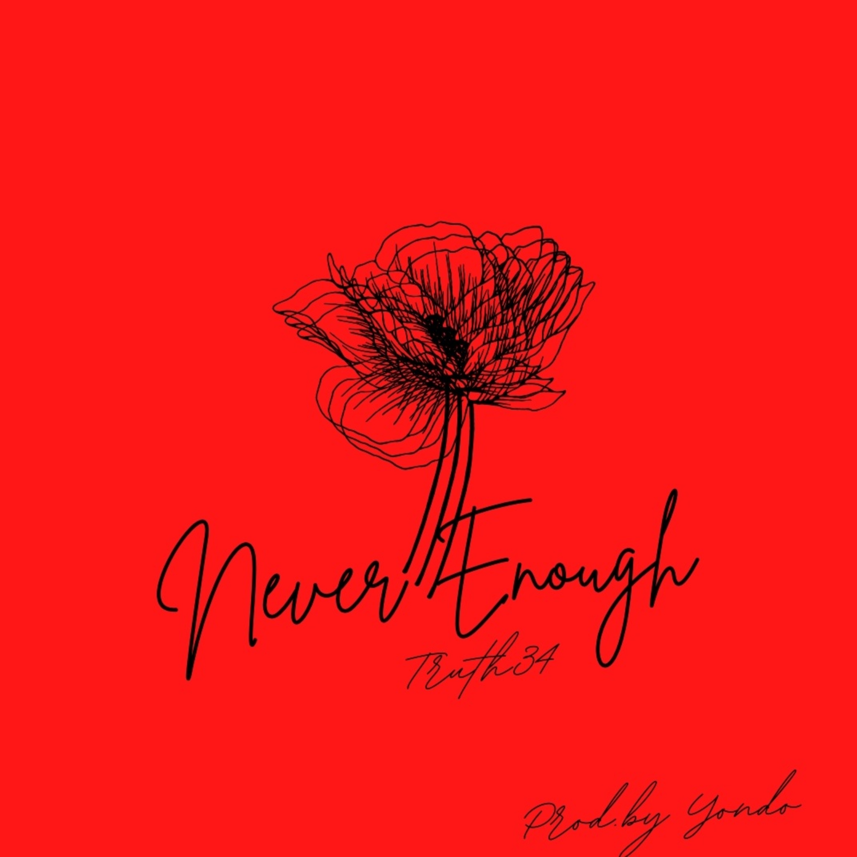Never Enough artwork