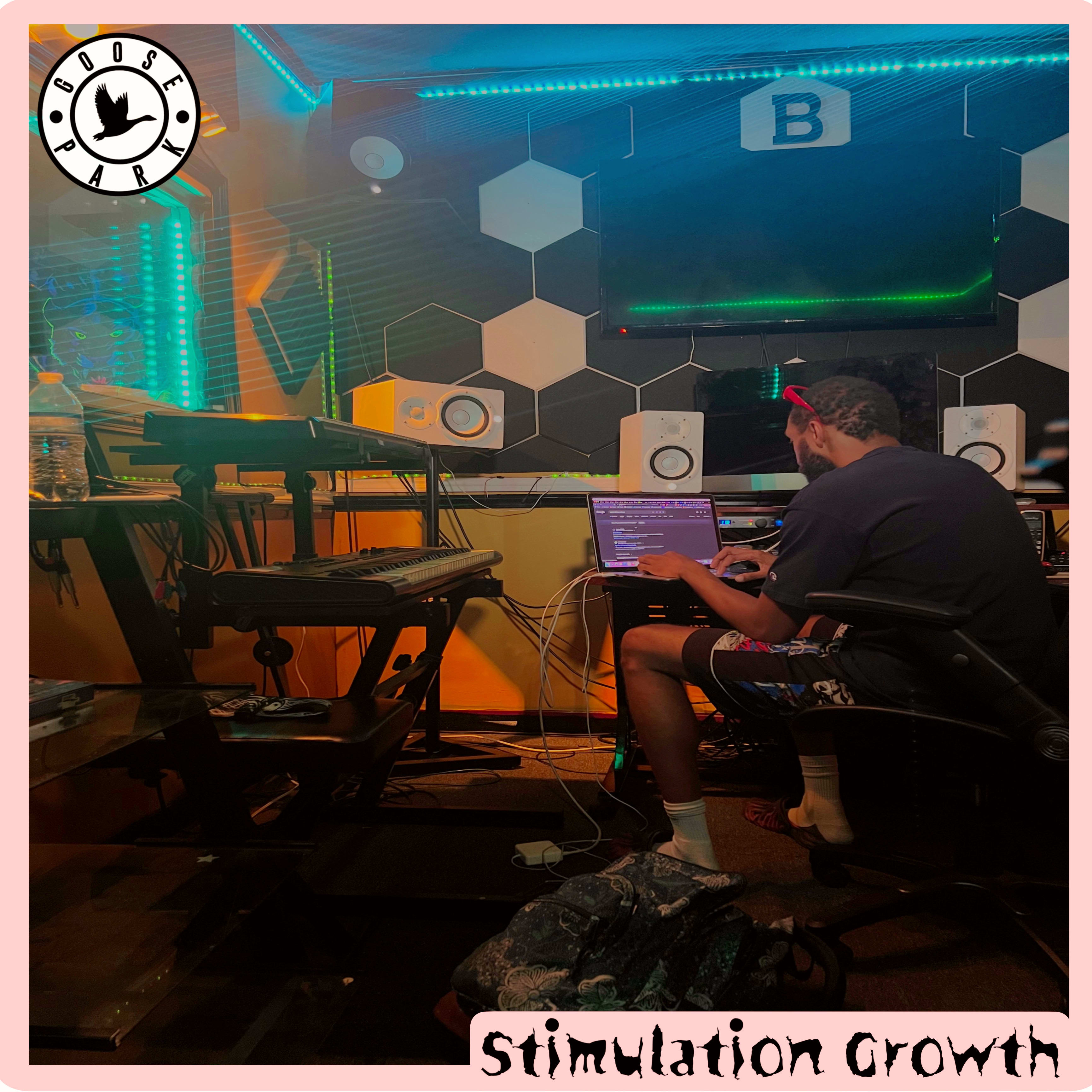 Stimulation Growth artwork