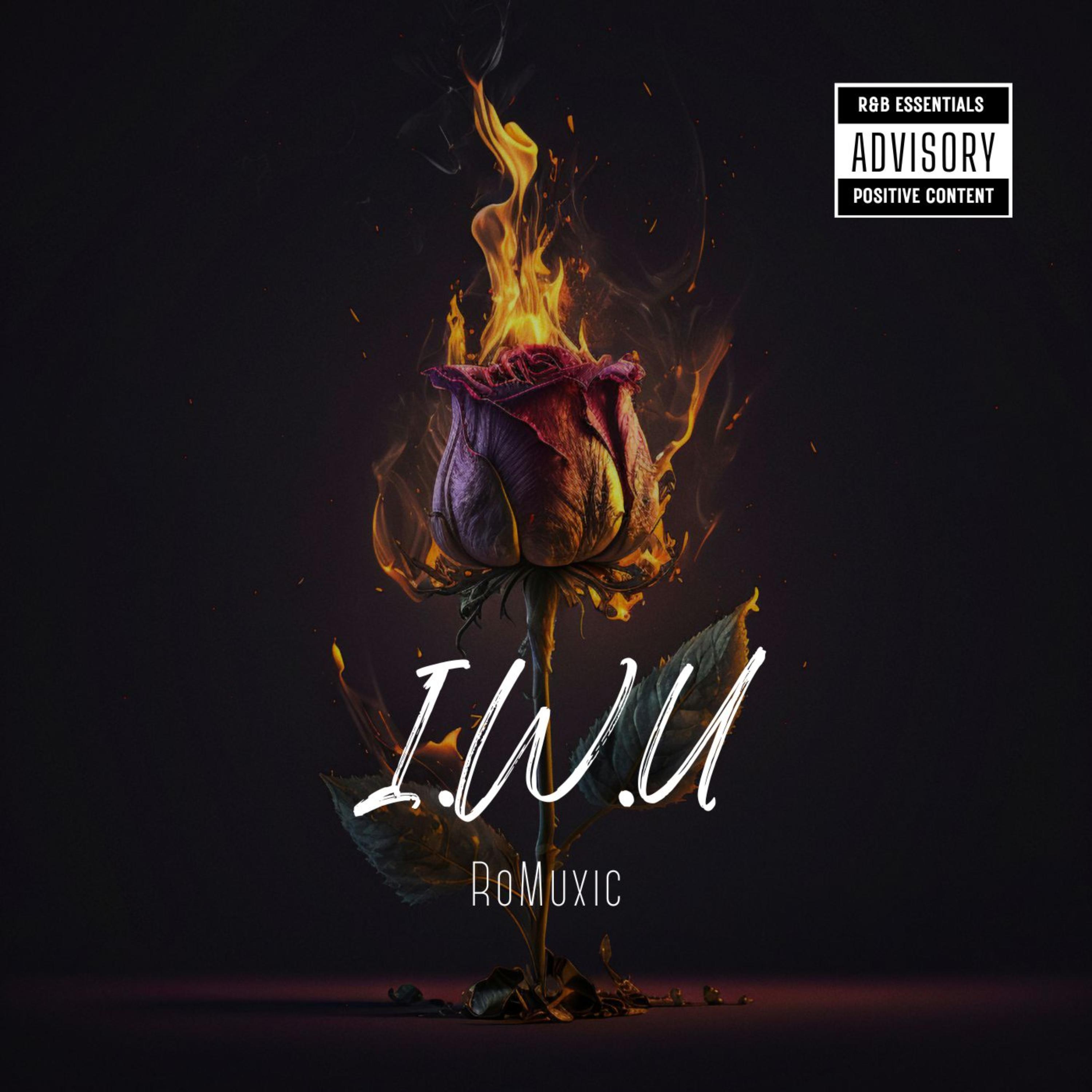 I.W.U artwork