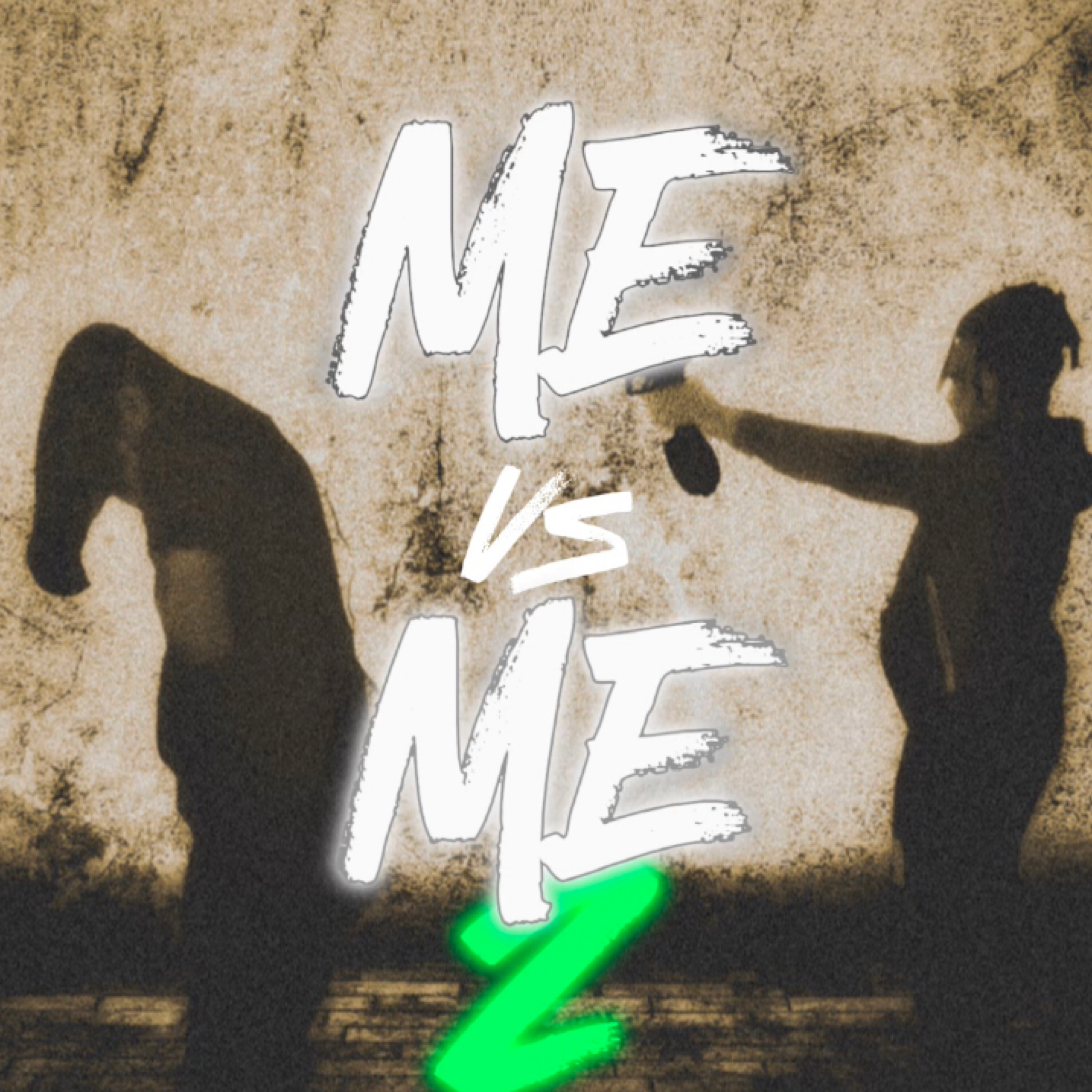 ME VS ME 2 artwork