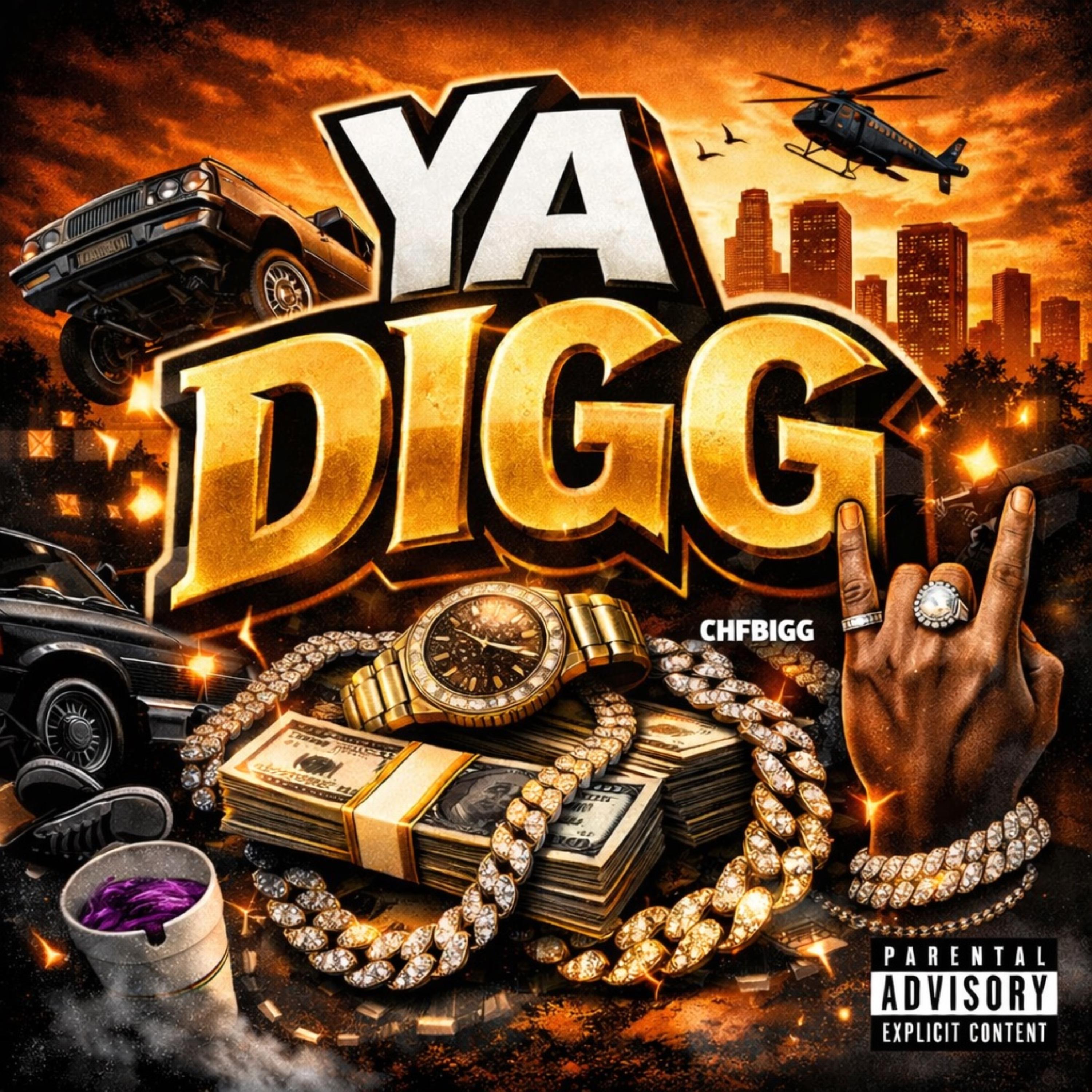 Ya Digg artwork