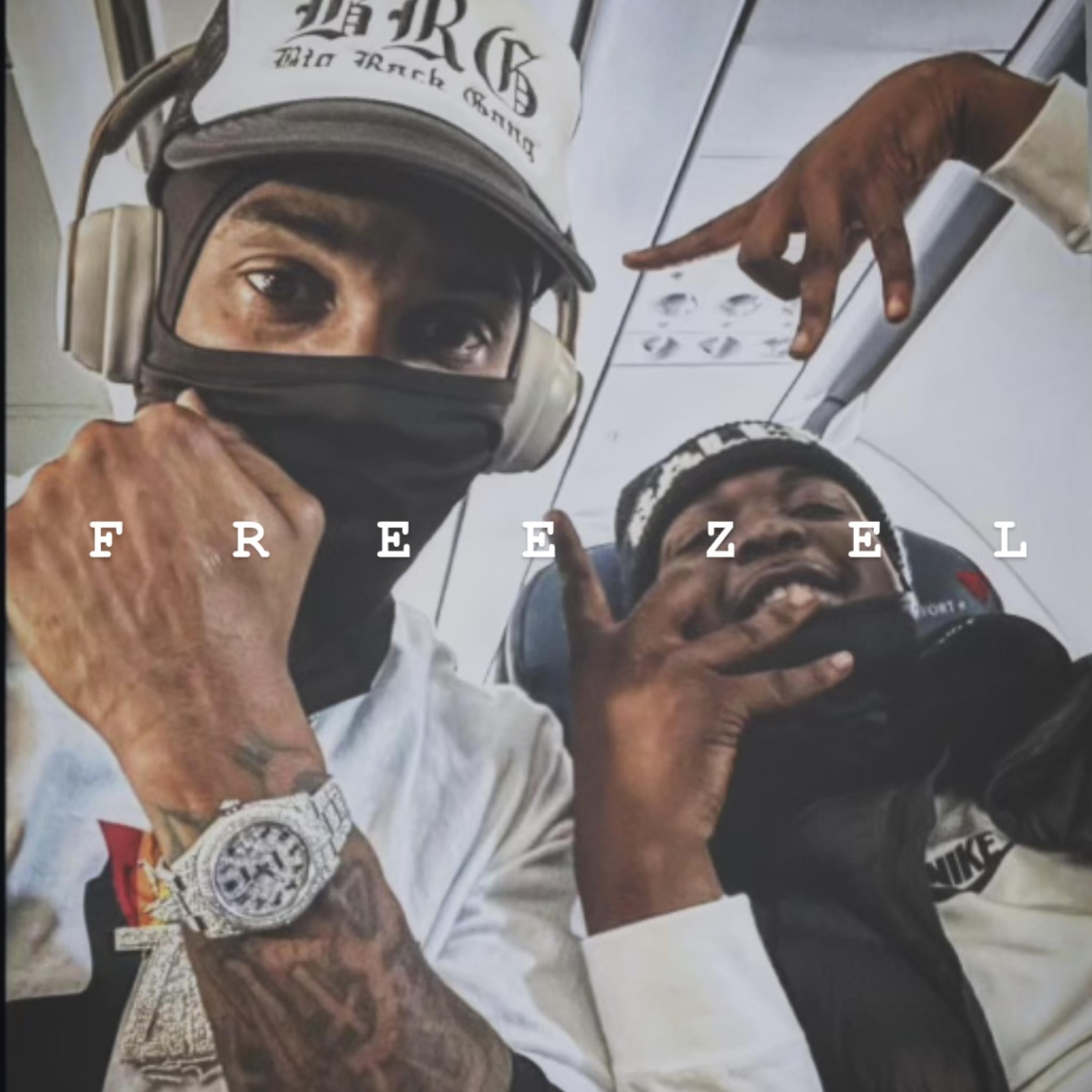 FREE ZEL artwork
