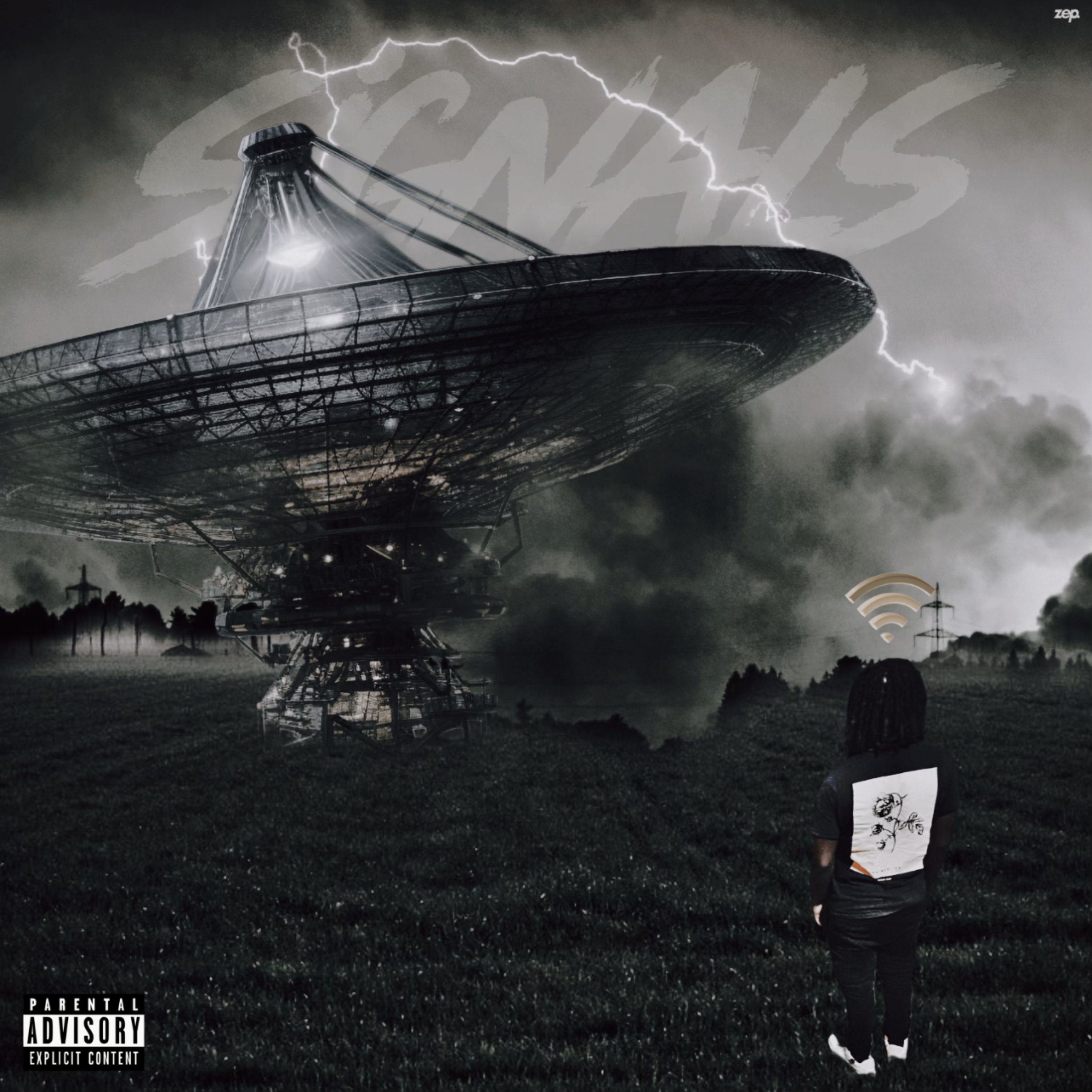 SIGNALS artwork