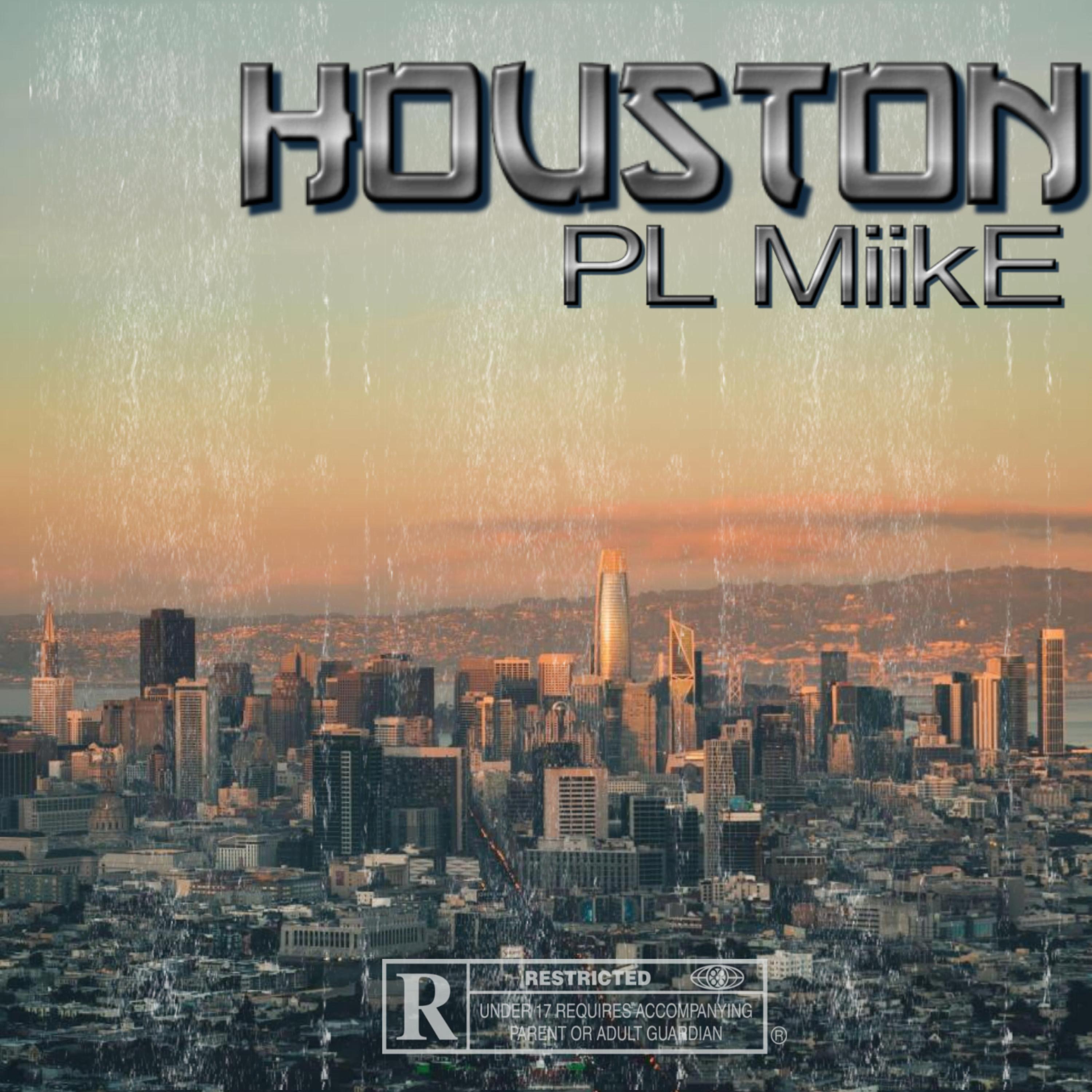 Houston artwork