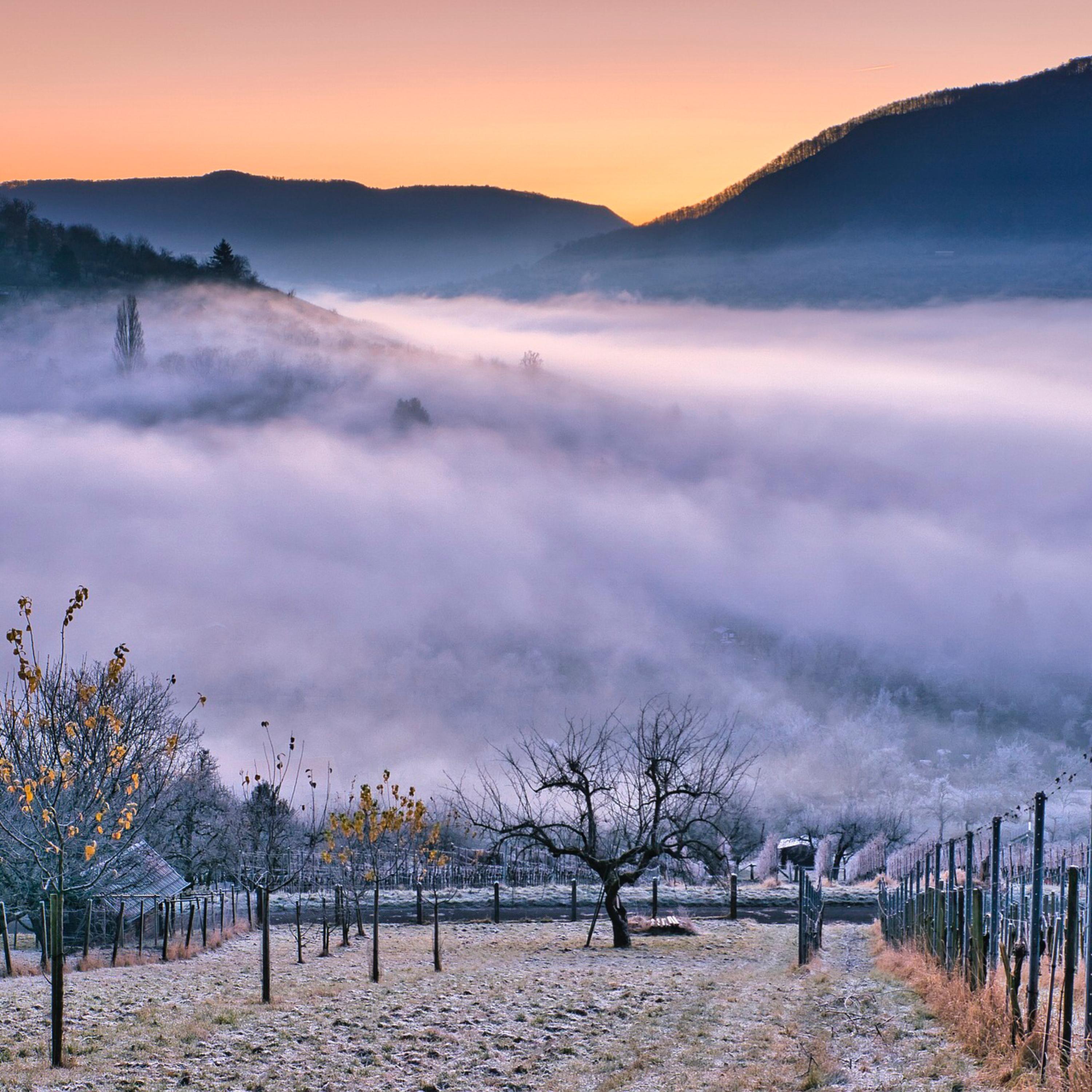 Not over you artwork