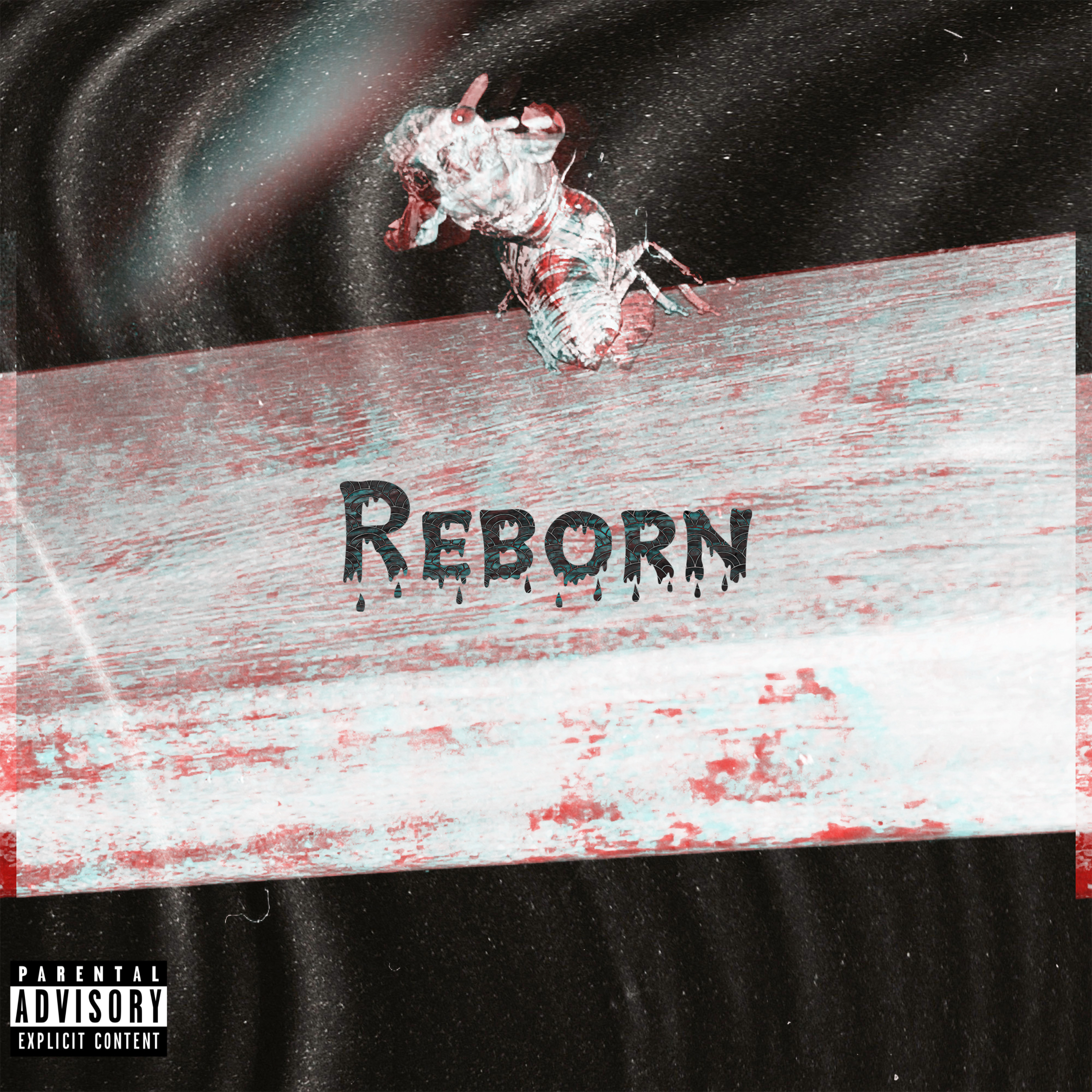 ReBorn artwork