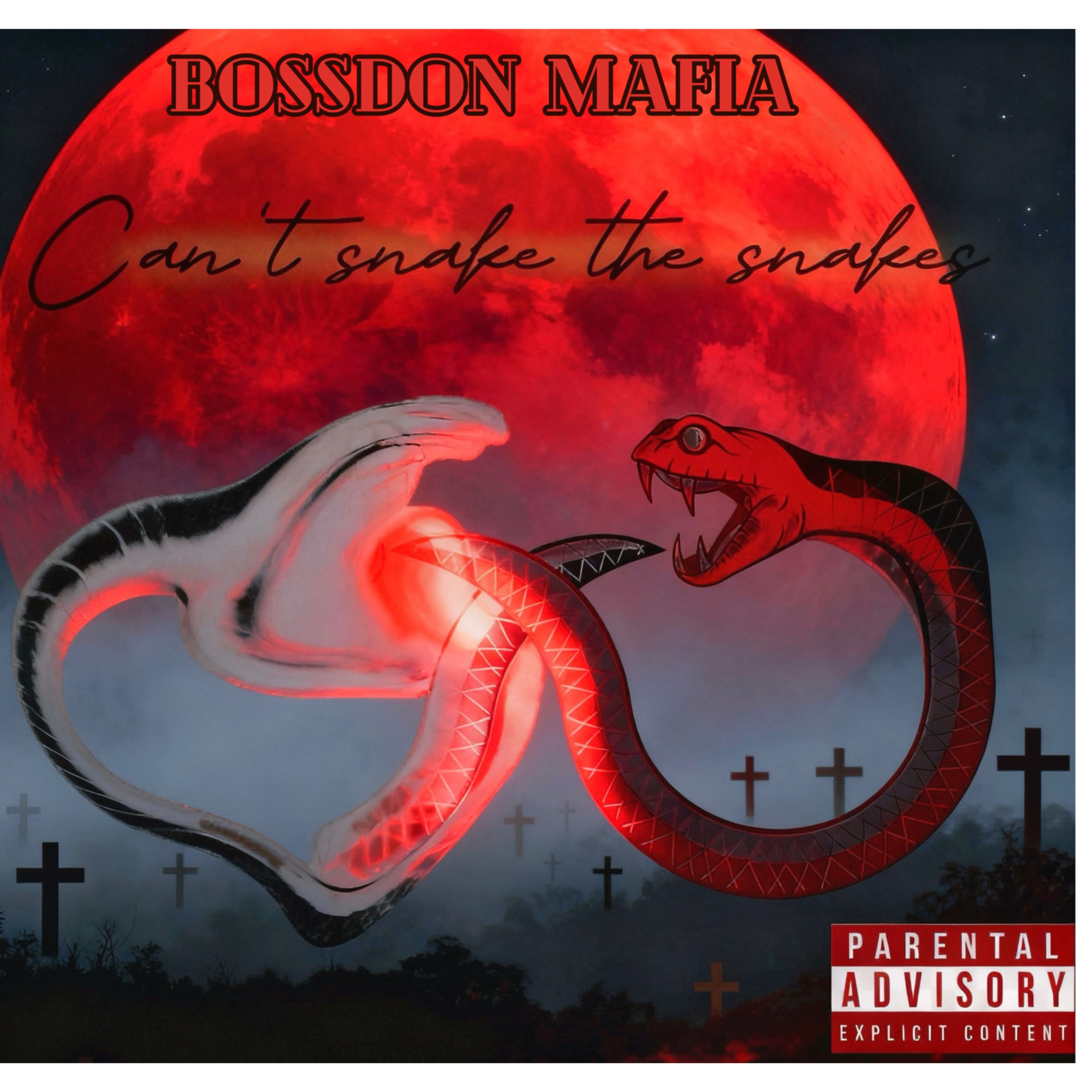 Can’t Snake The Snakes artwork