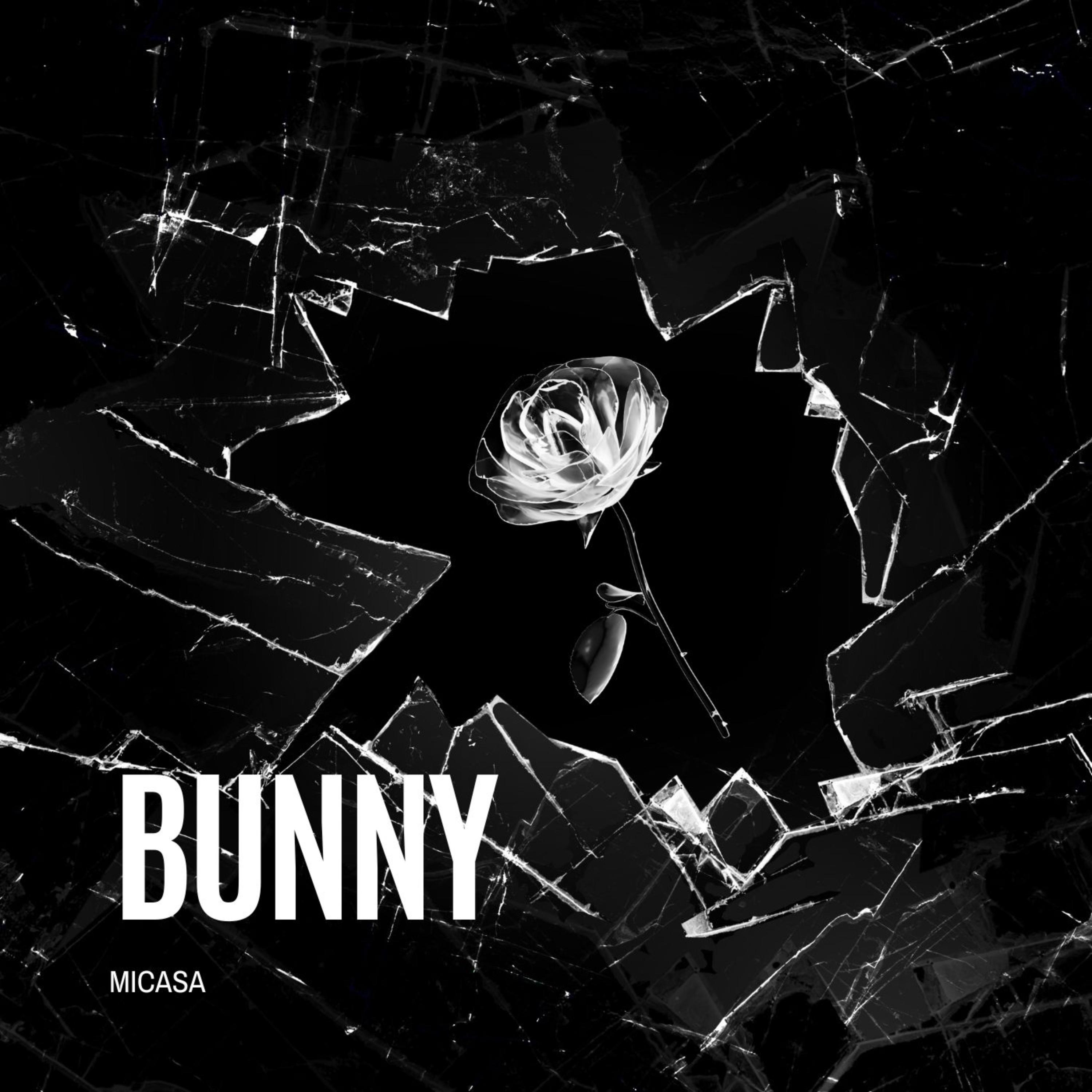 Bunny artwork