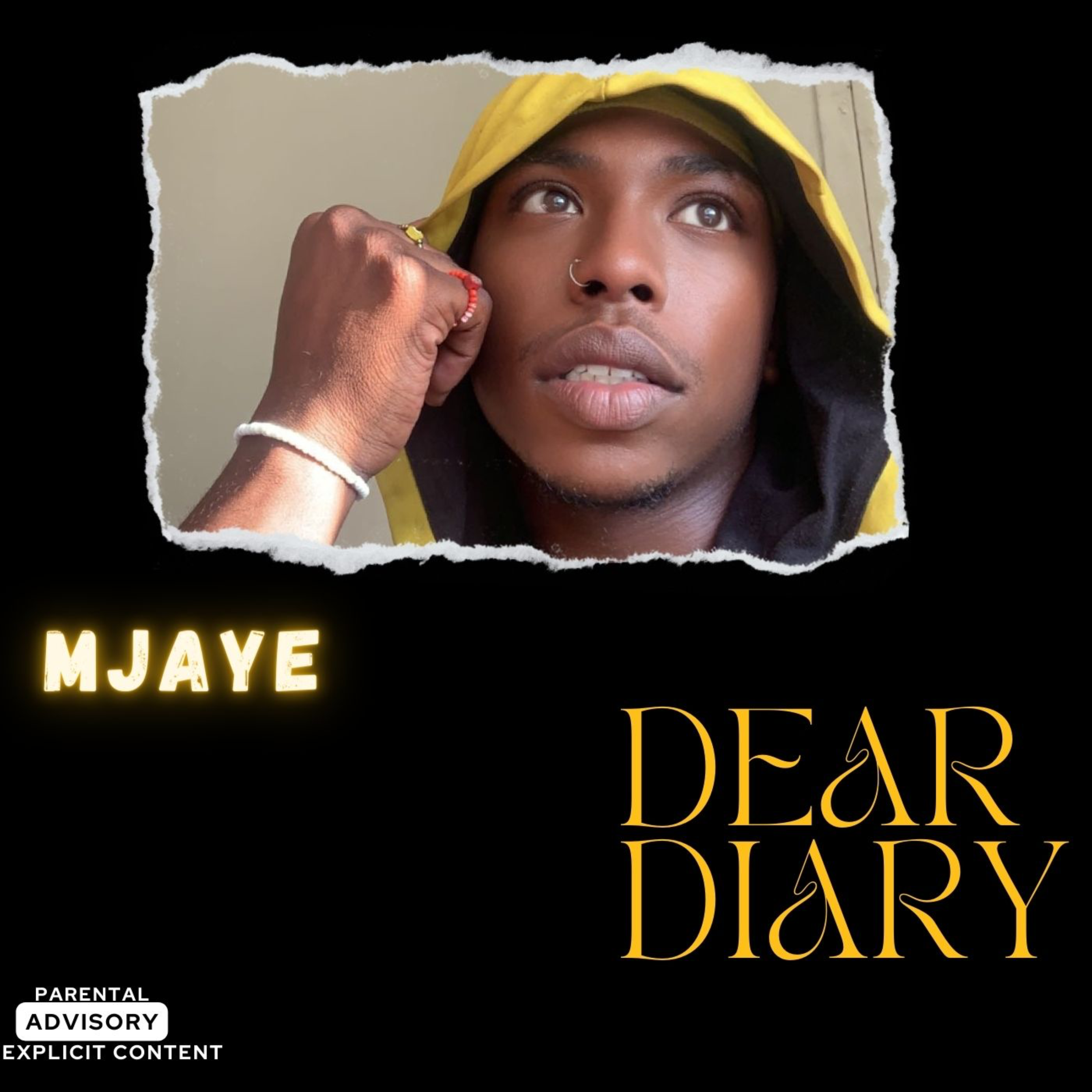 Dear Diary artwork
