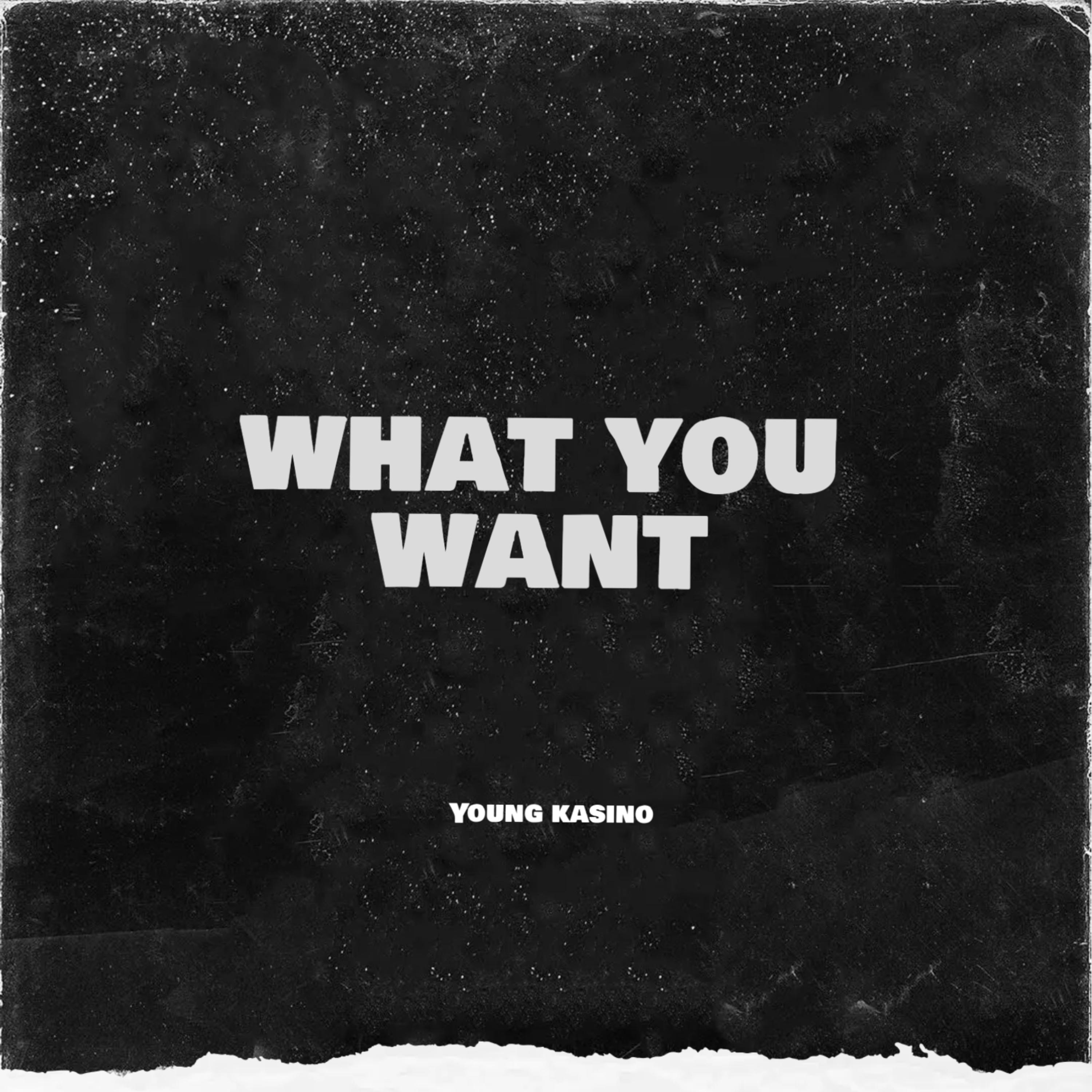 What You Want artwork