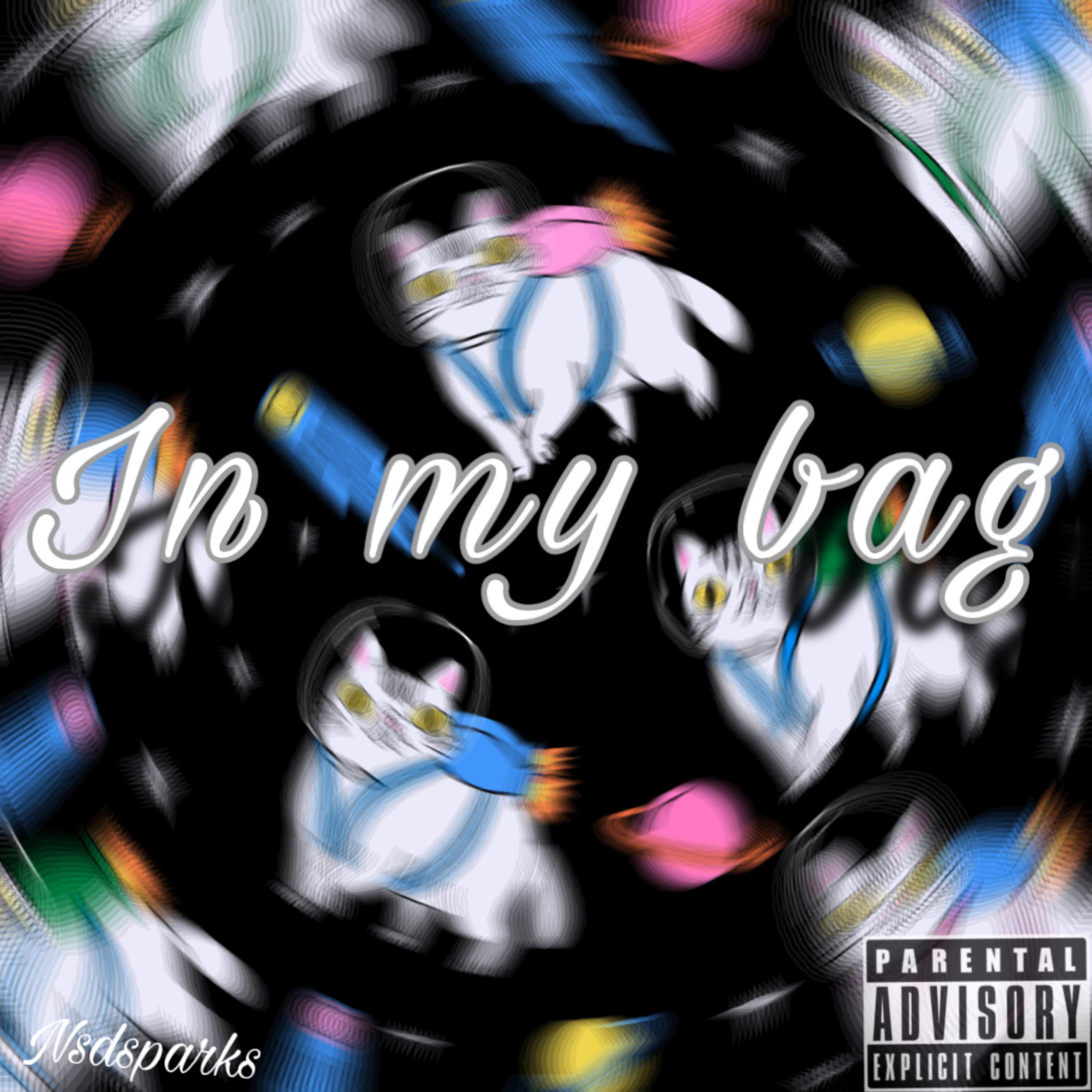 In my bag artwork