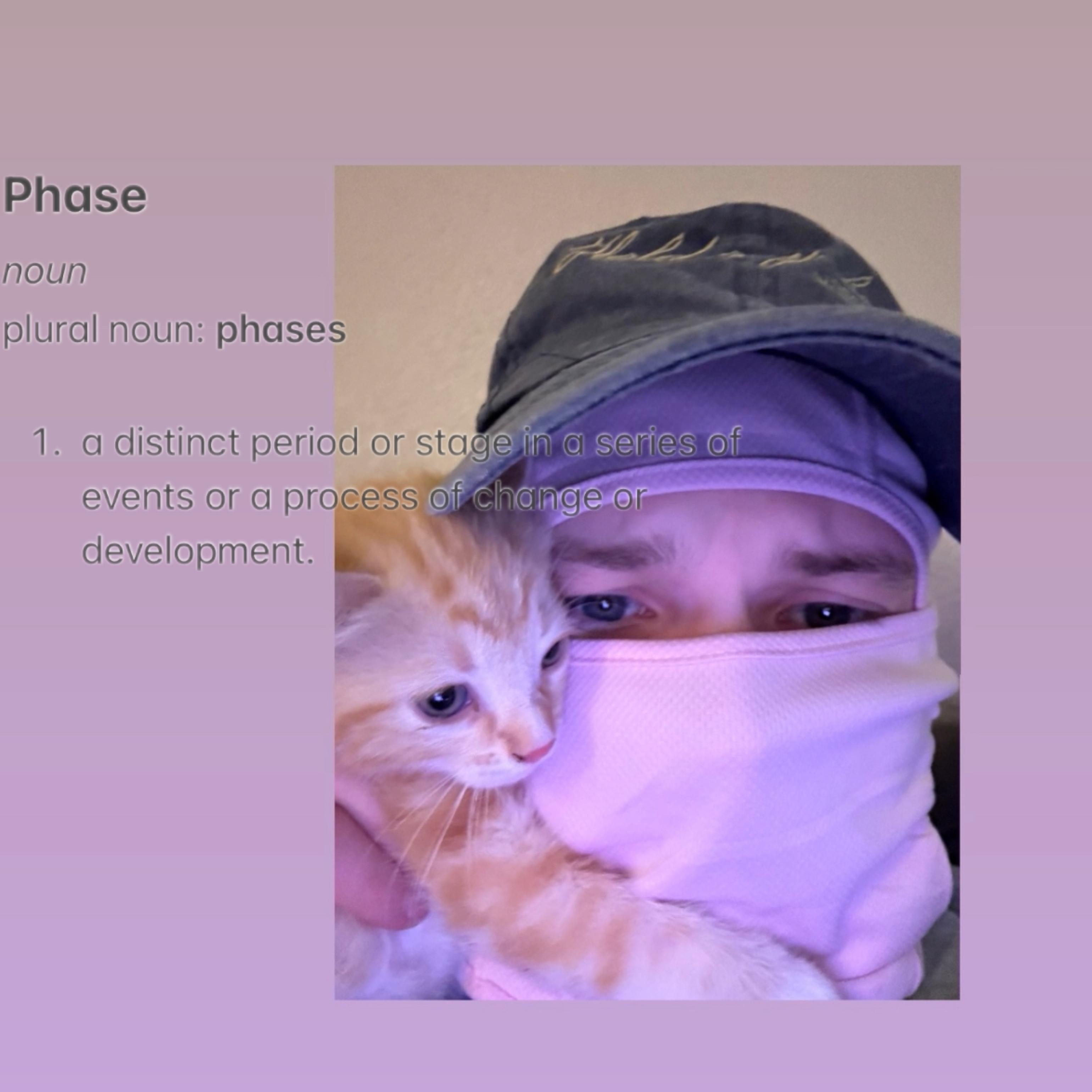 PHASES artwork