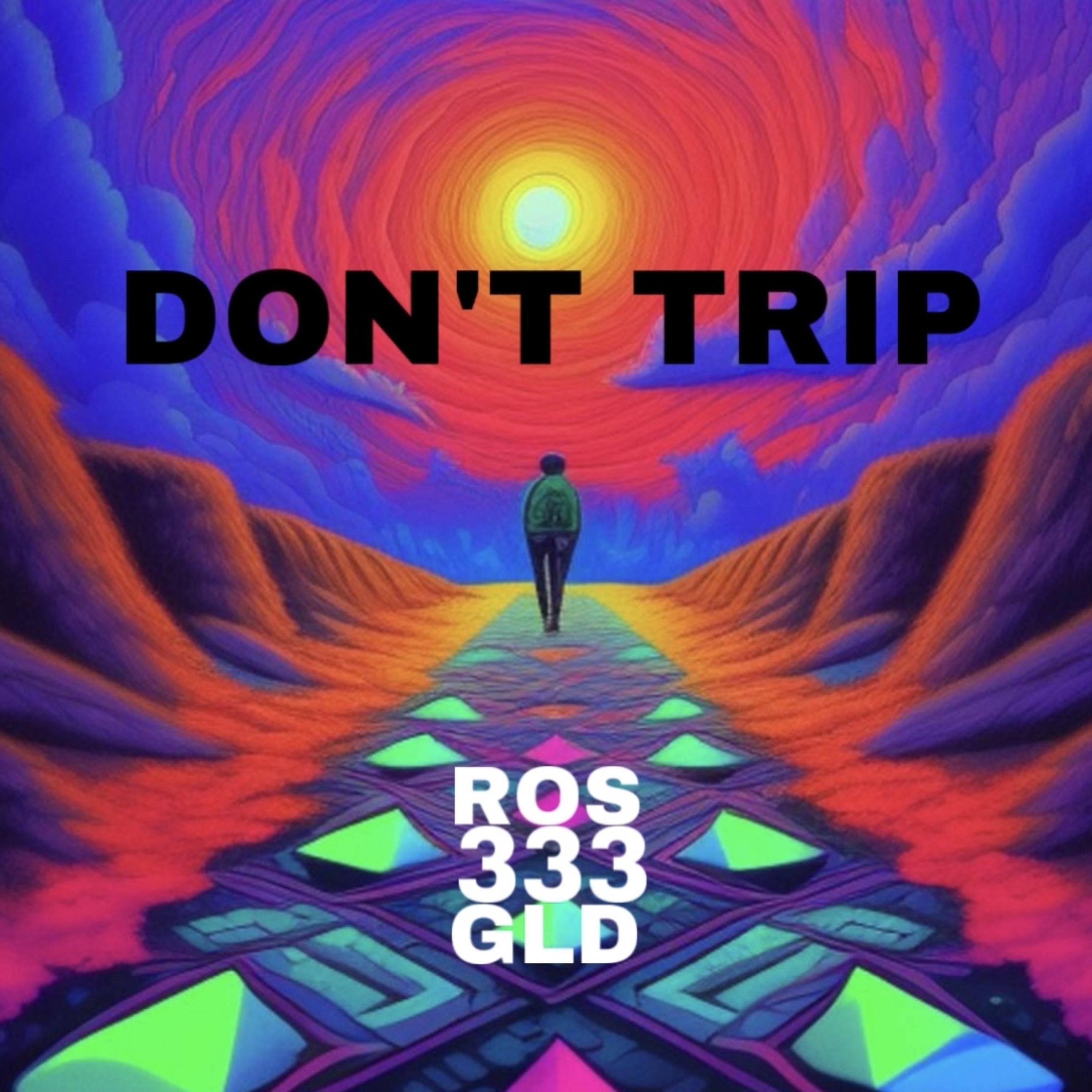 Don't Trip artwork