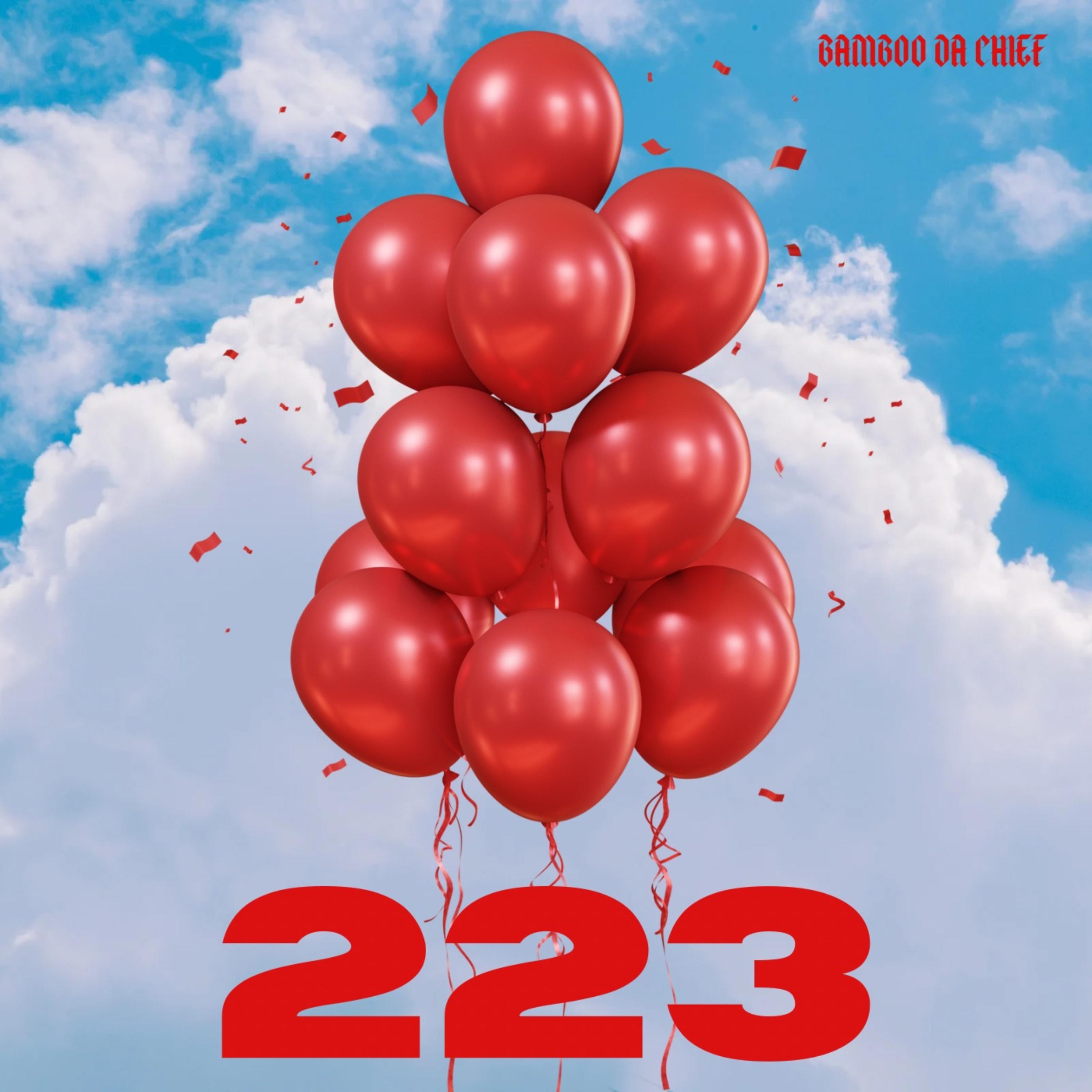 223s artwork