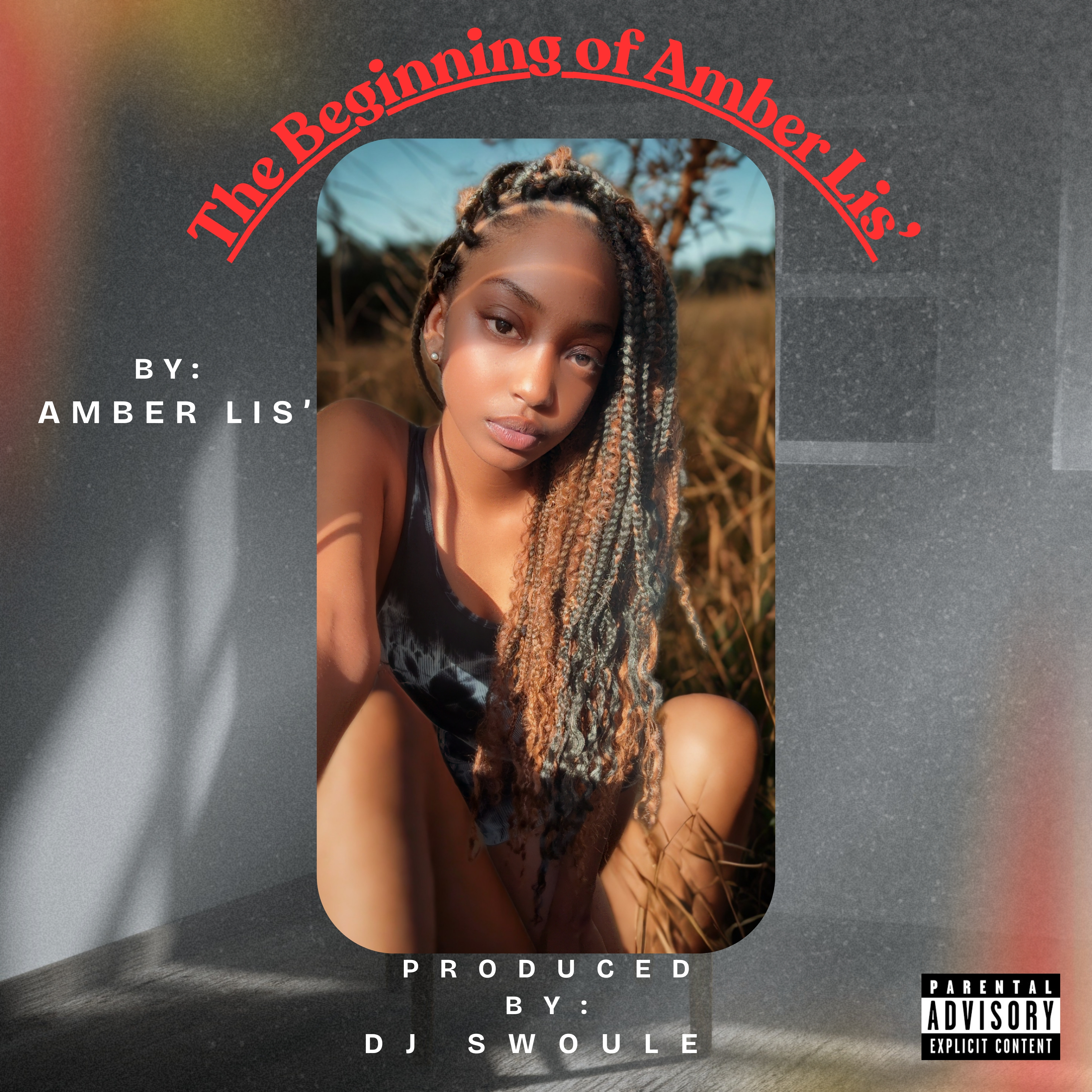 The Beginning Of Amber Lis' artwork