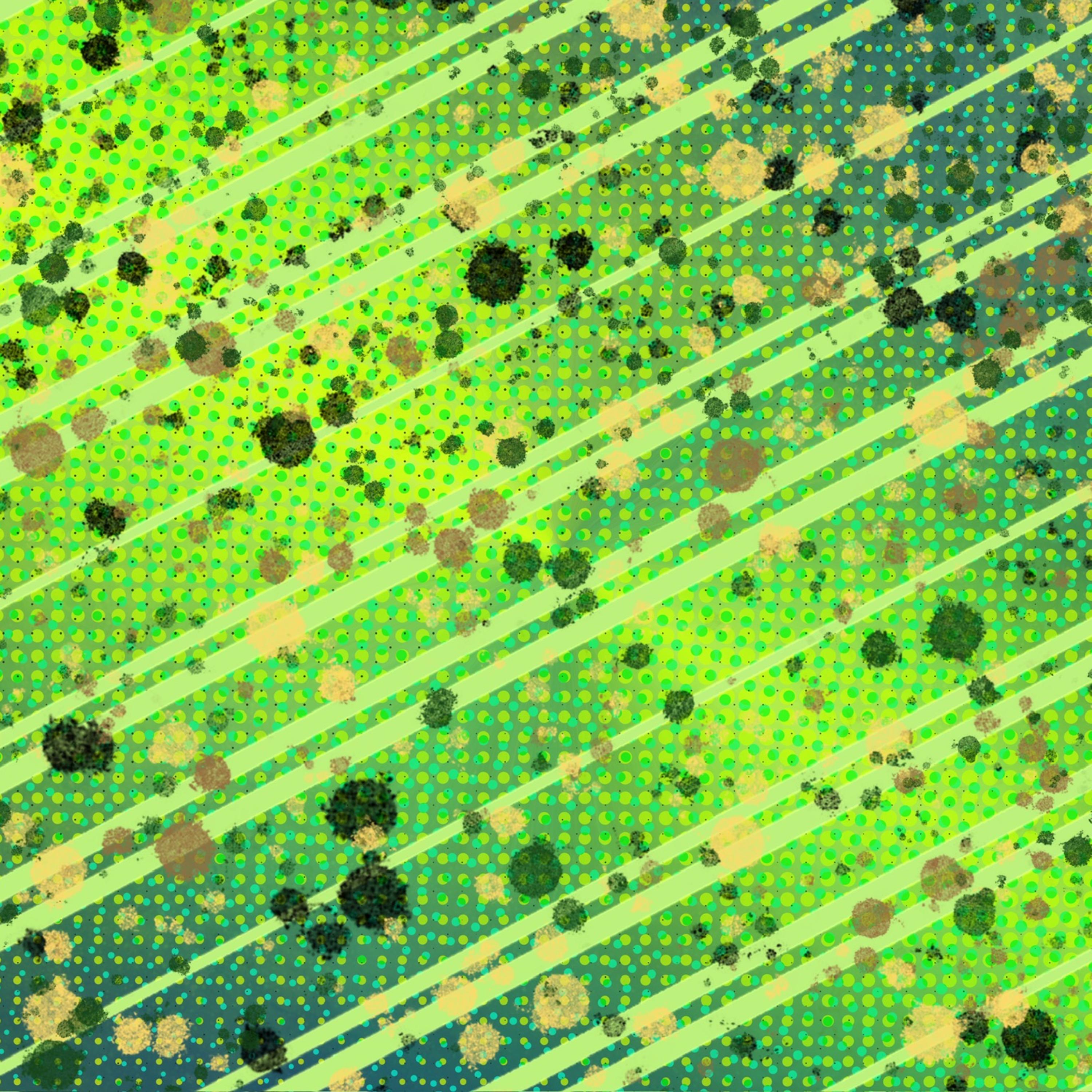 MEMORIALIZATION artwork