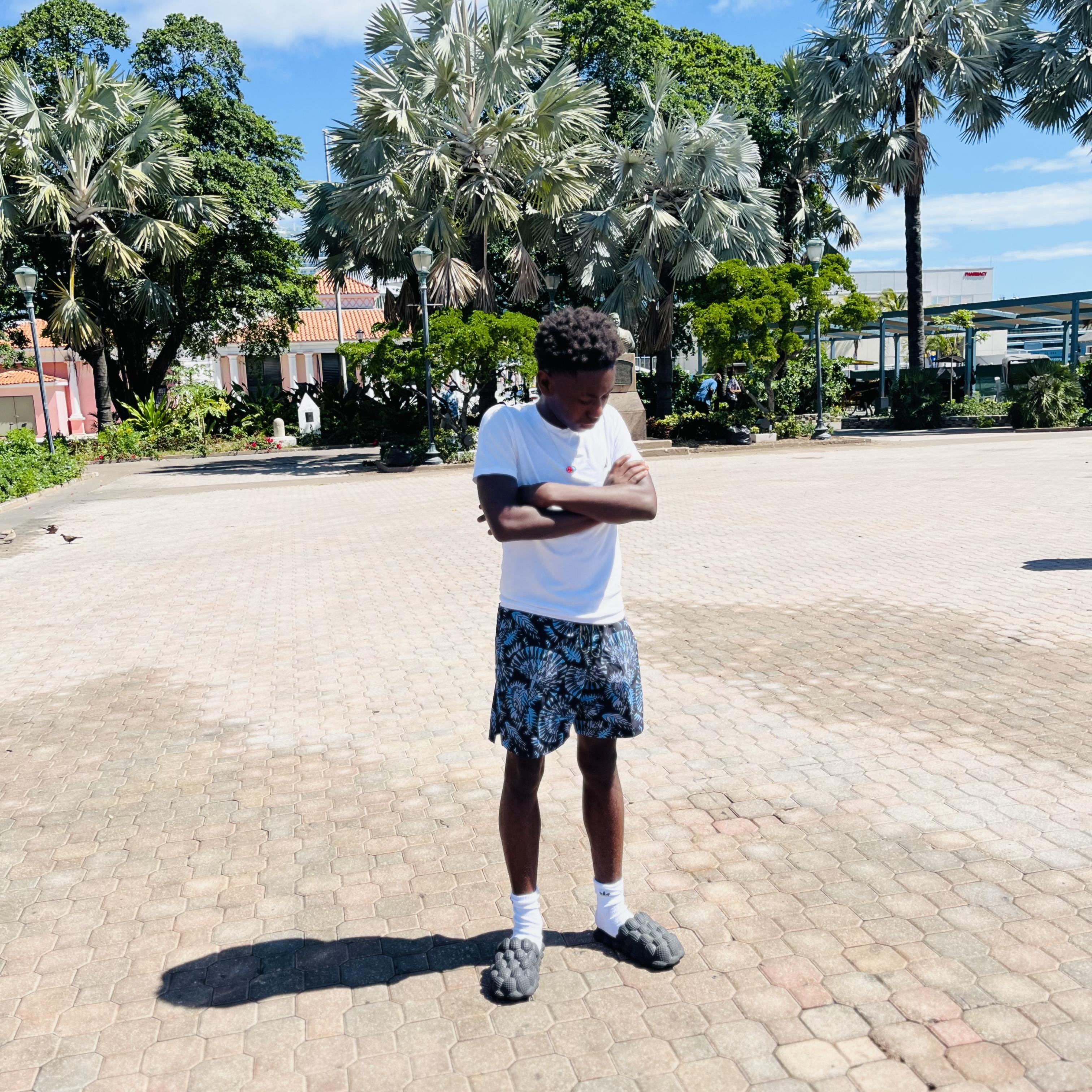 SAJ VS JAMES artwork