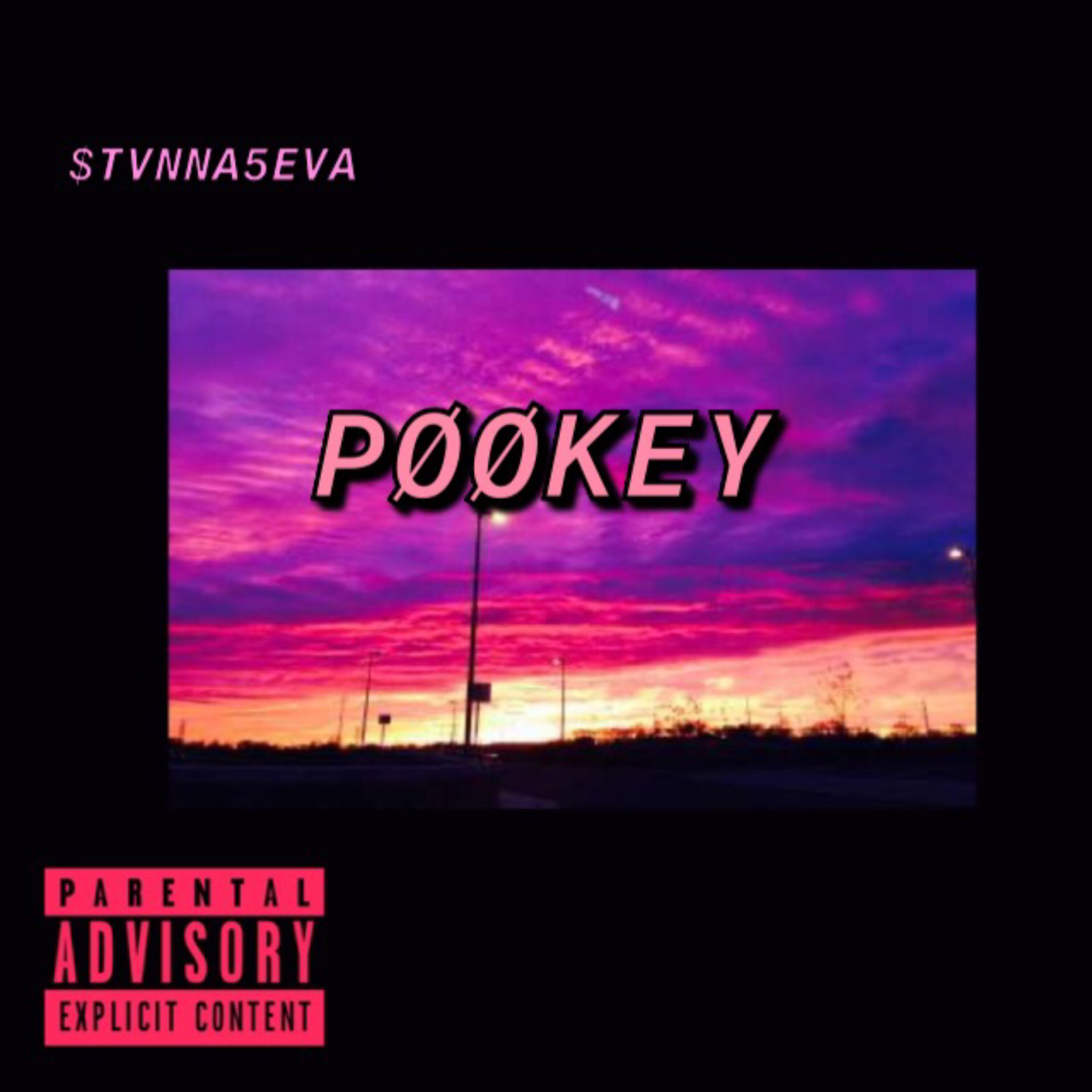 Pøøkey artwork